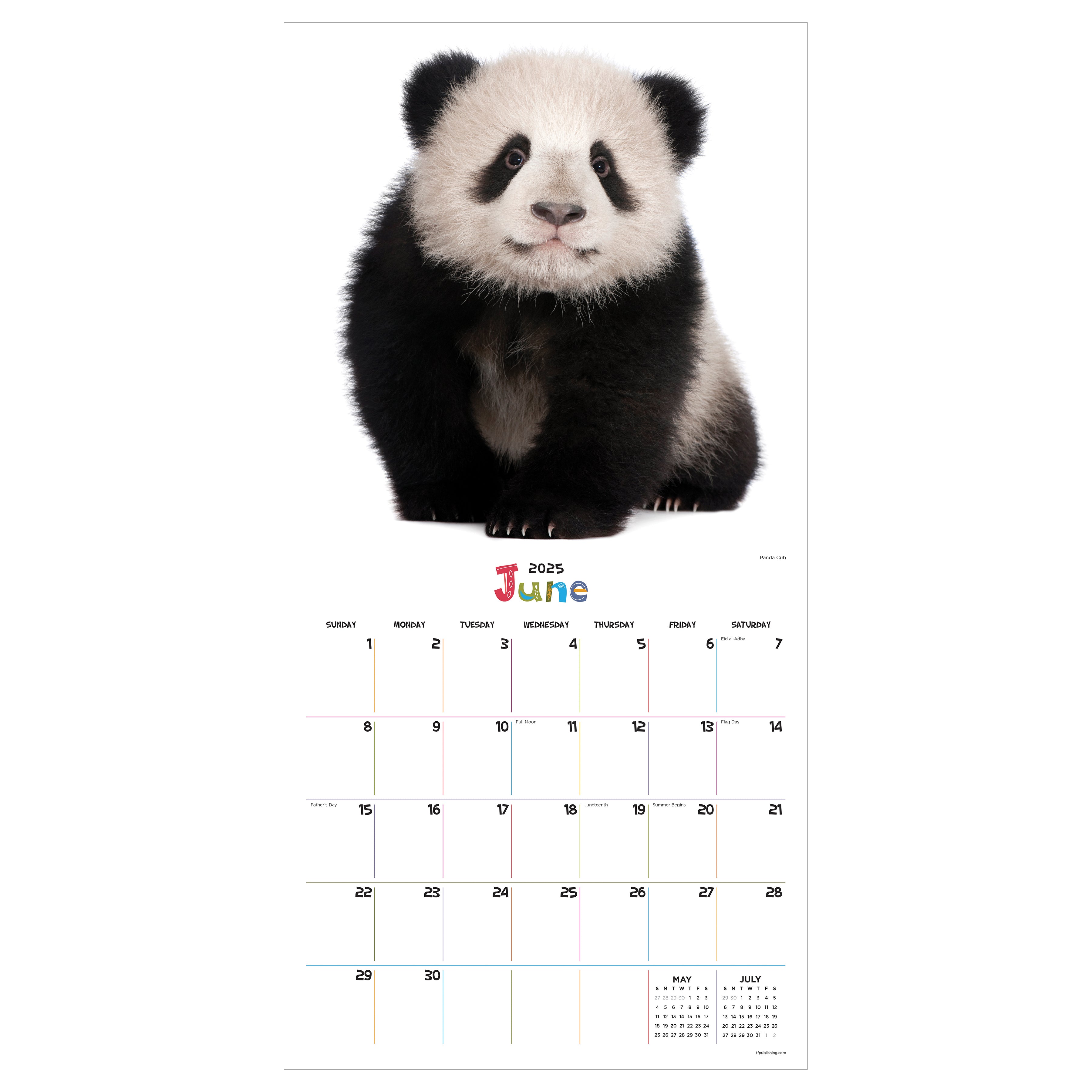 Baby Bear Wall Calendar 2025 on Selwii