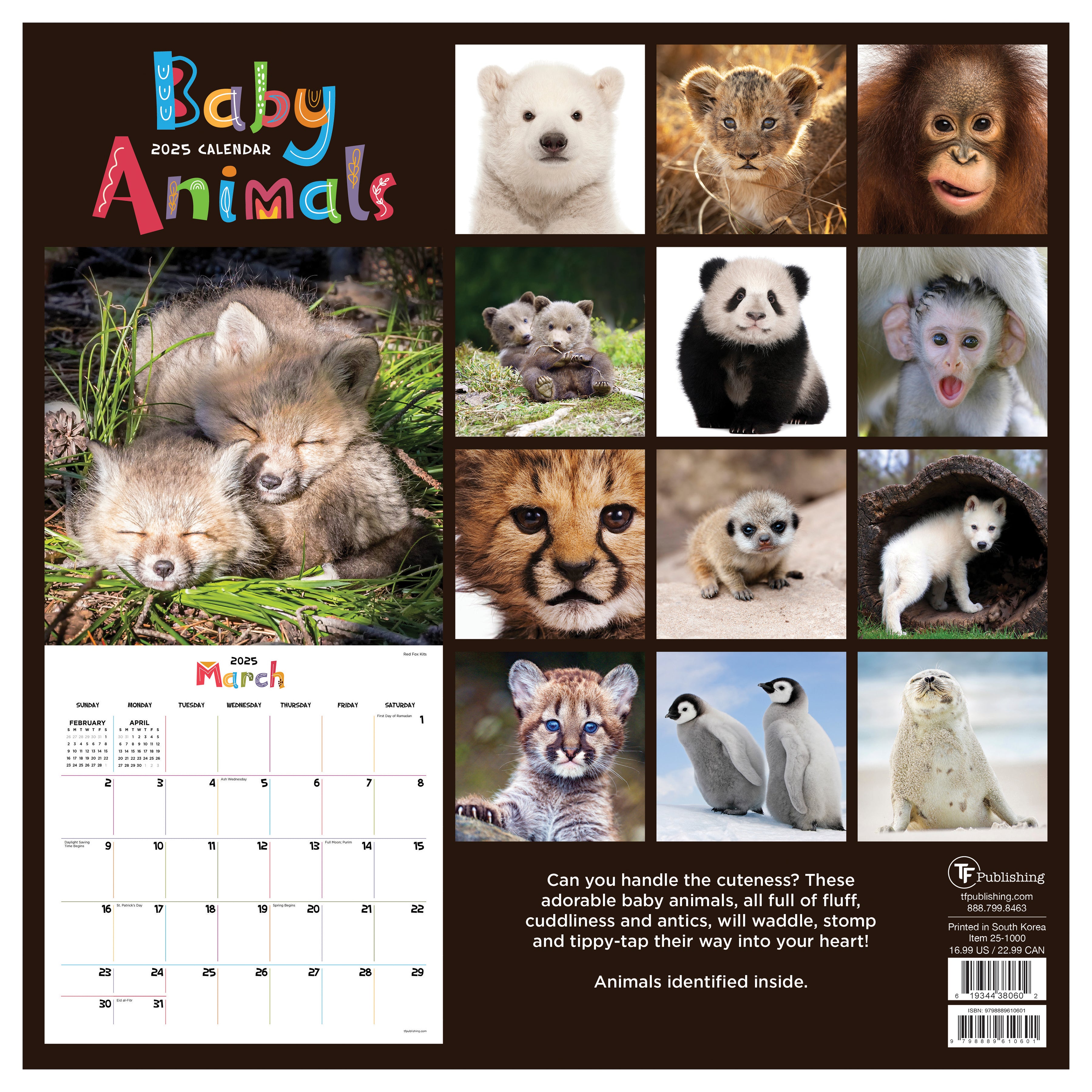 Baby Animals Wall Calendar 2025 