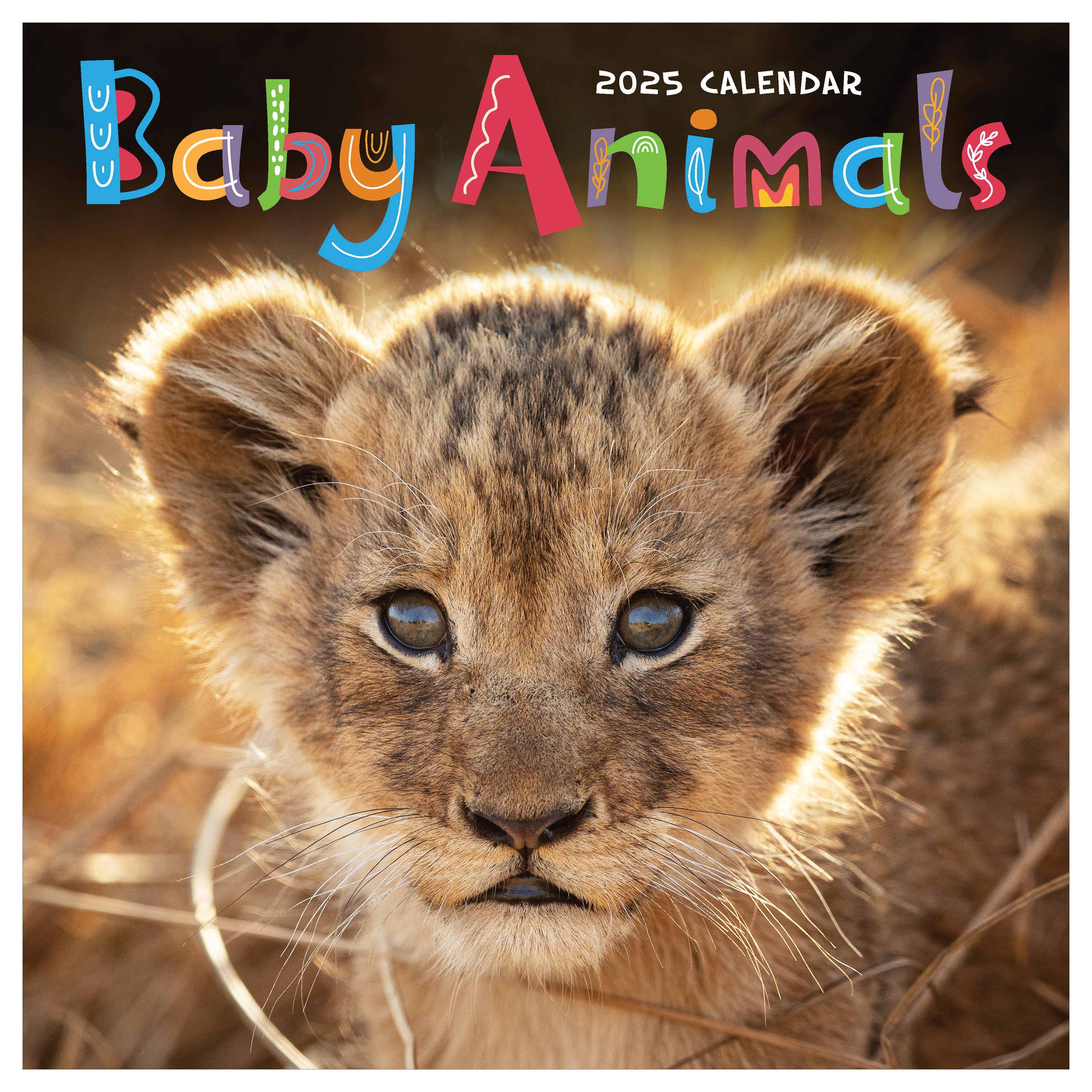 Buy 2025 Baby Animals Wall Calendar