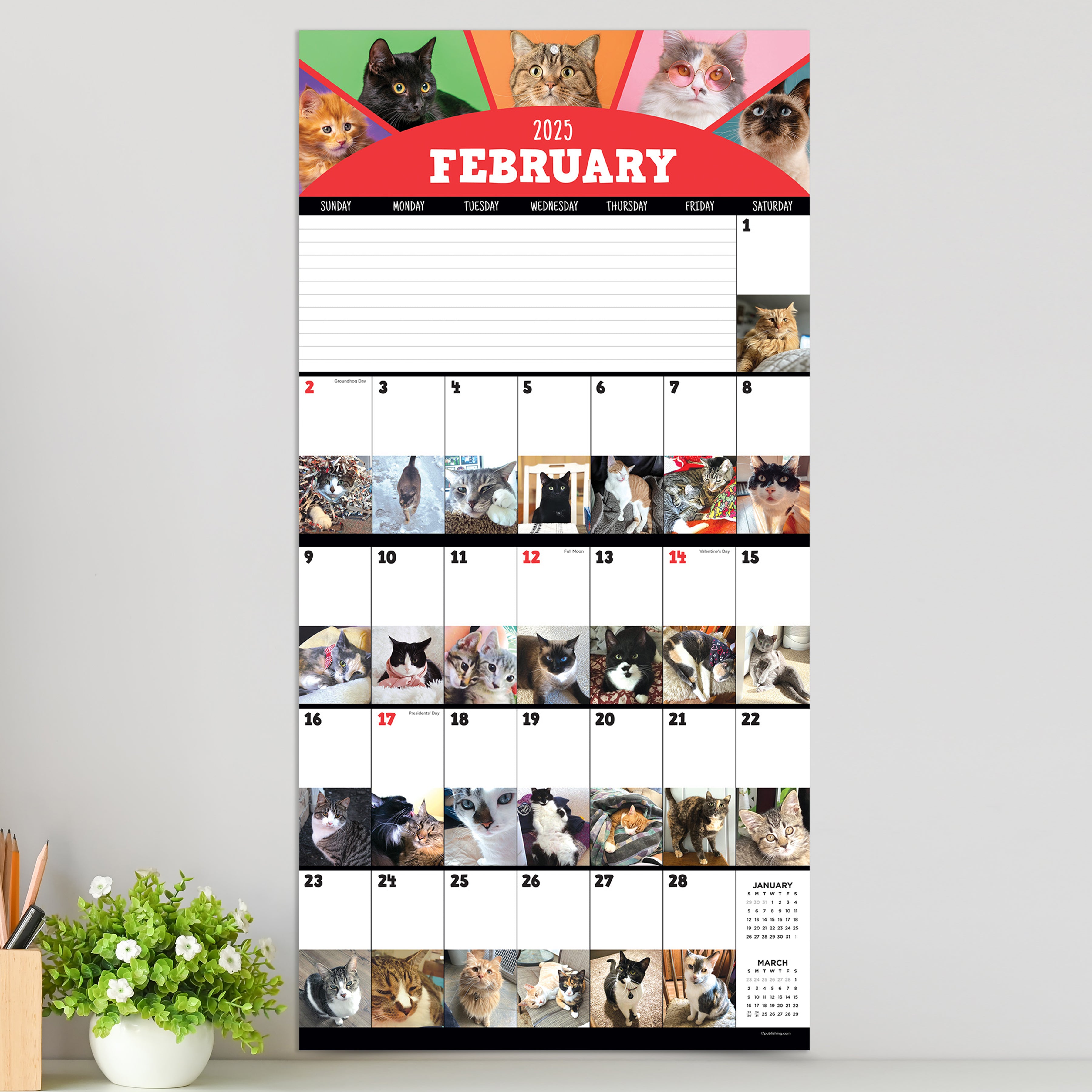 2025 Cat-A-Day Wall Calendar SELWII