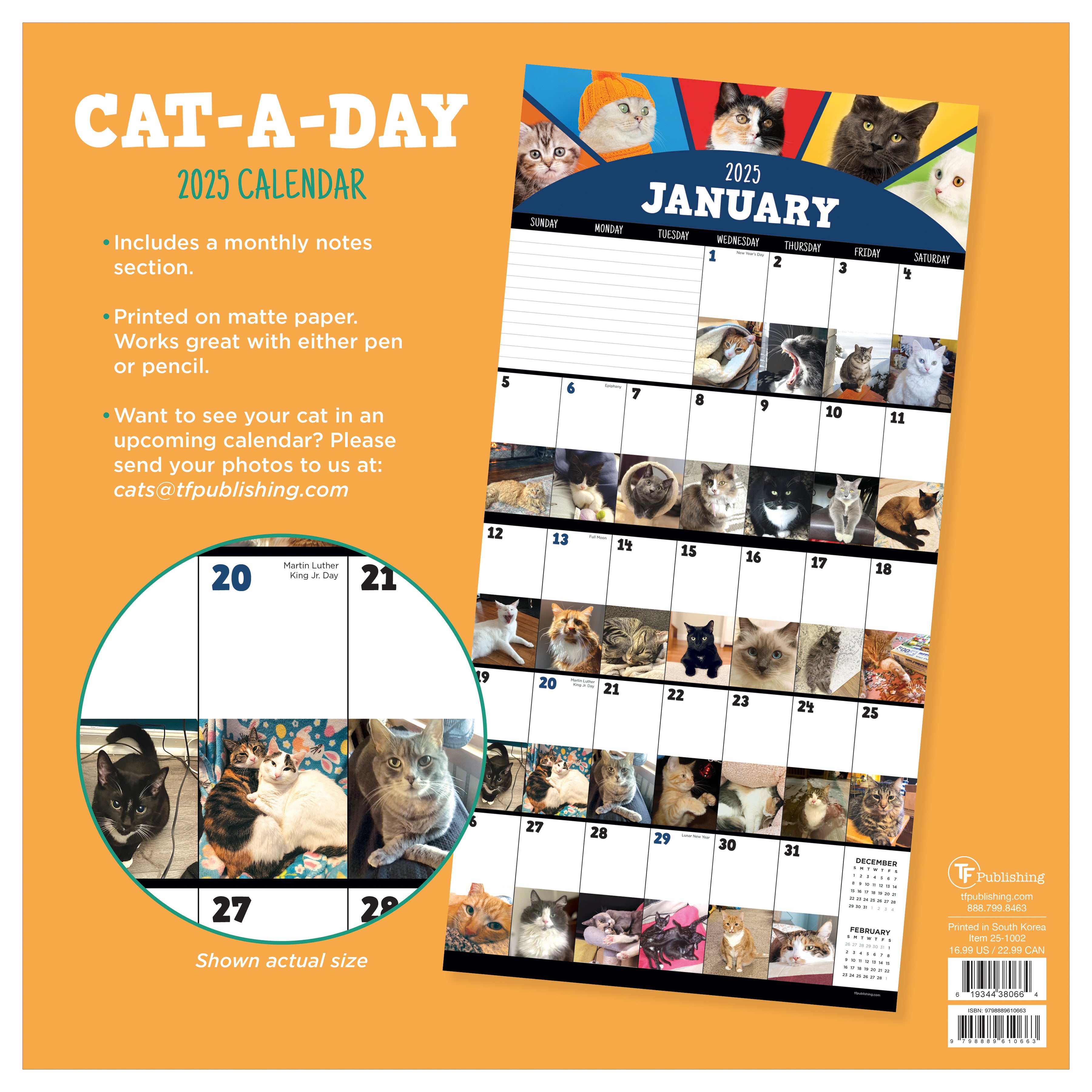 2025 Cat-A-Day Wall Calendar SELWII