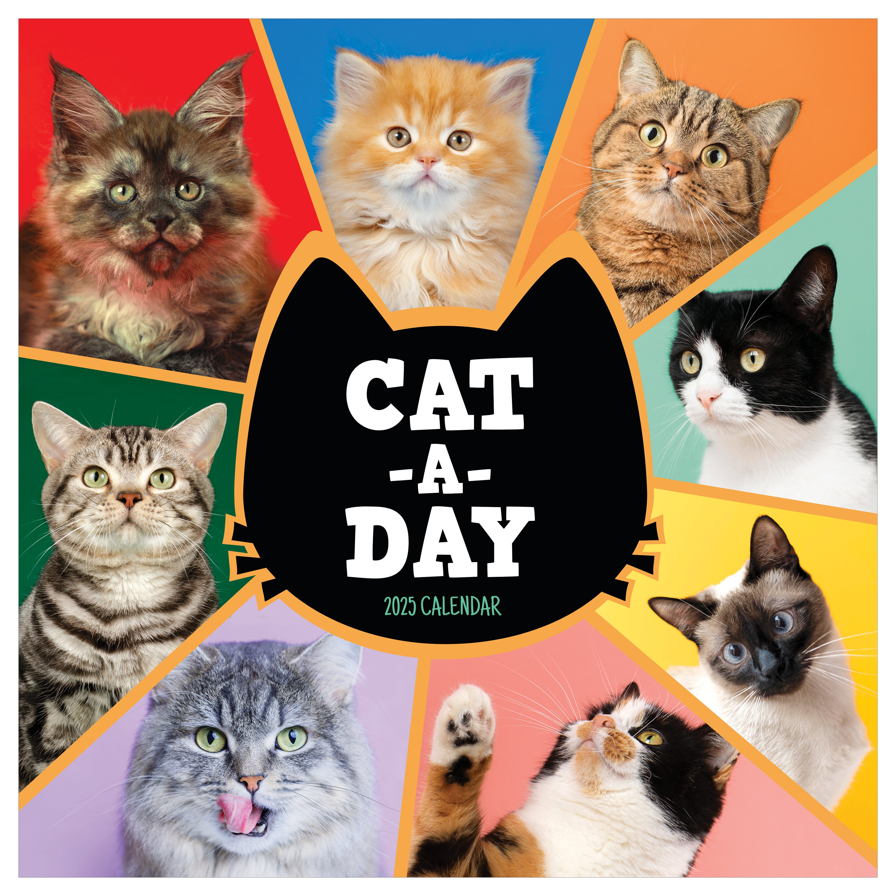 2025 Cat-A-Day Wall Calendar SELWII