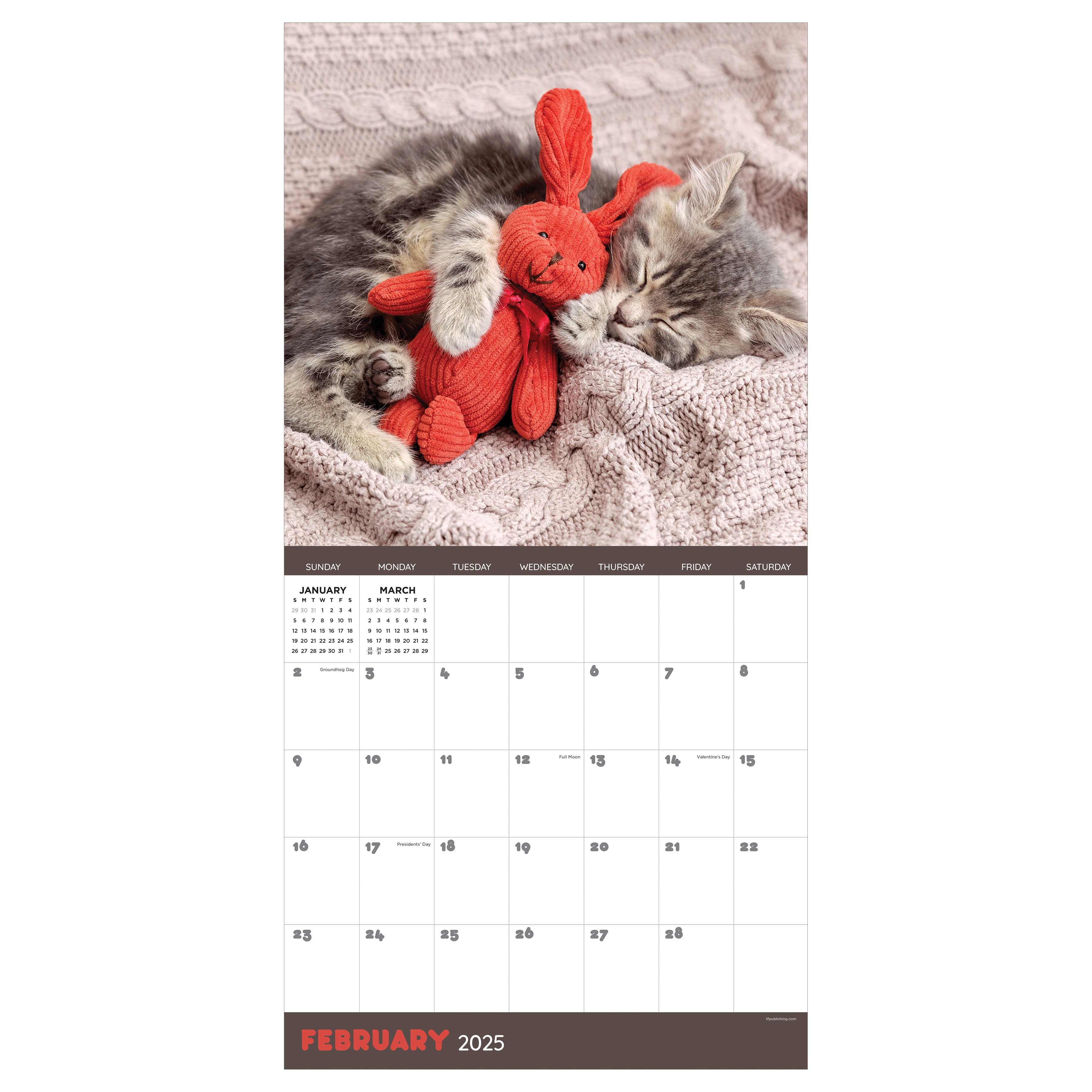 Cat Dreams 2025 Wall Calendar