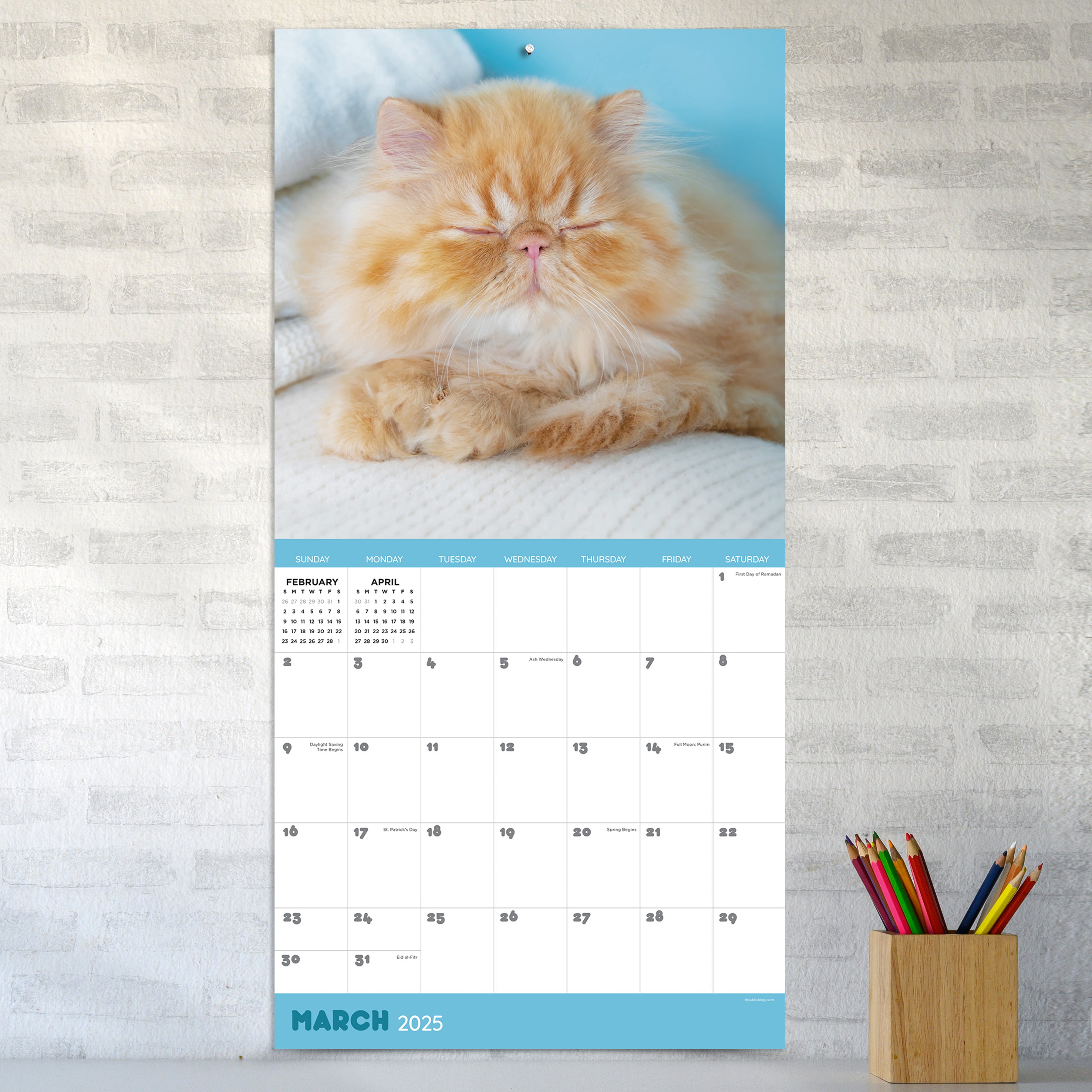 Cat Dreams Wall Calendar 2025 