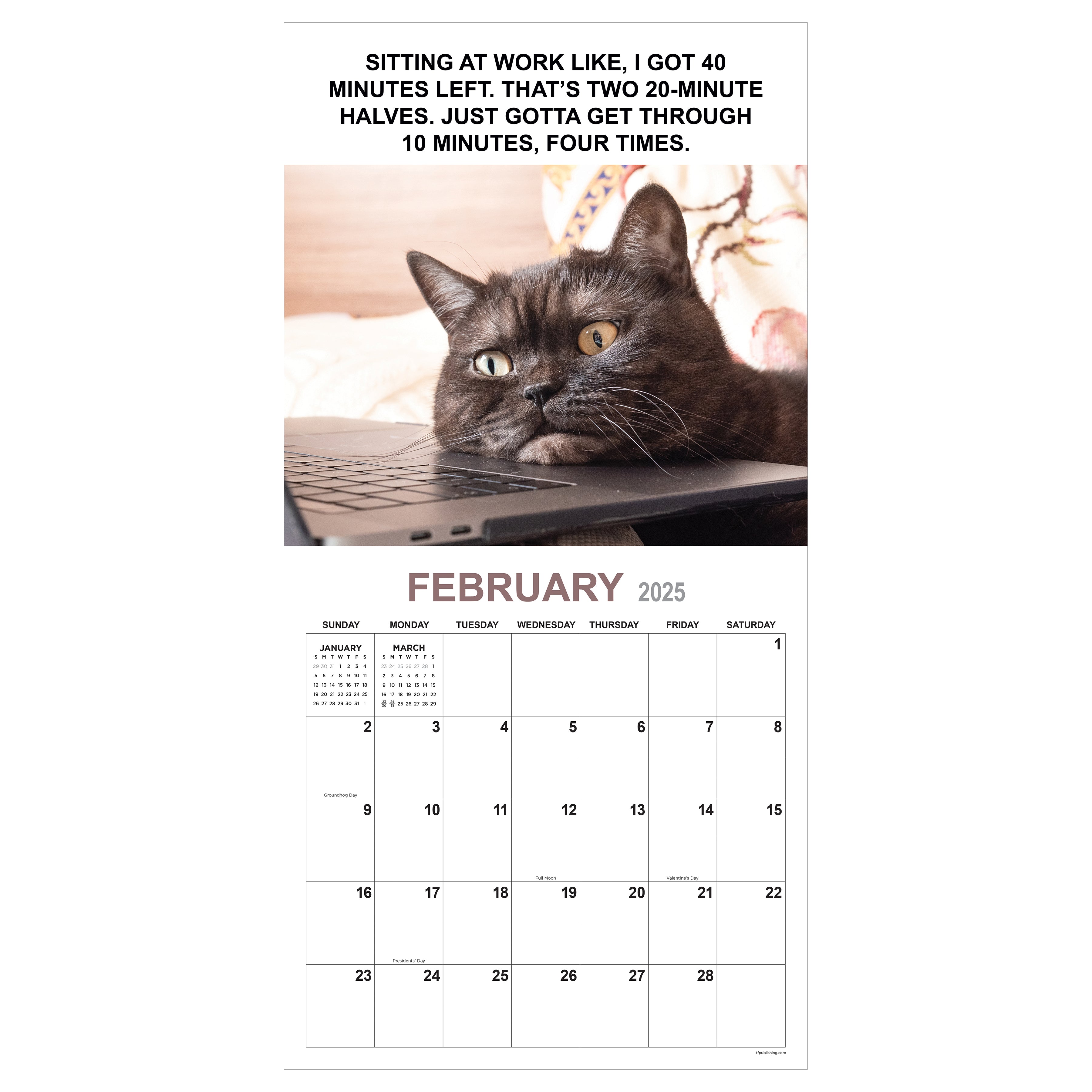 2025 Corporate Cats Wall Calendar on SELWII