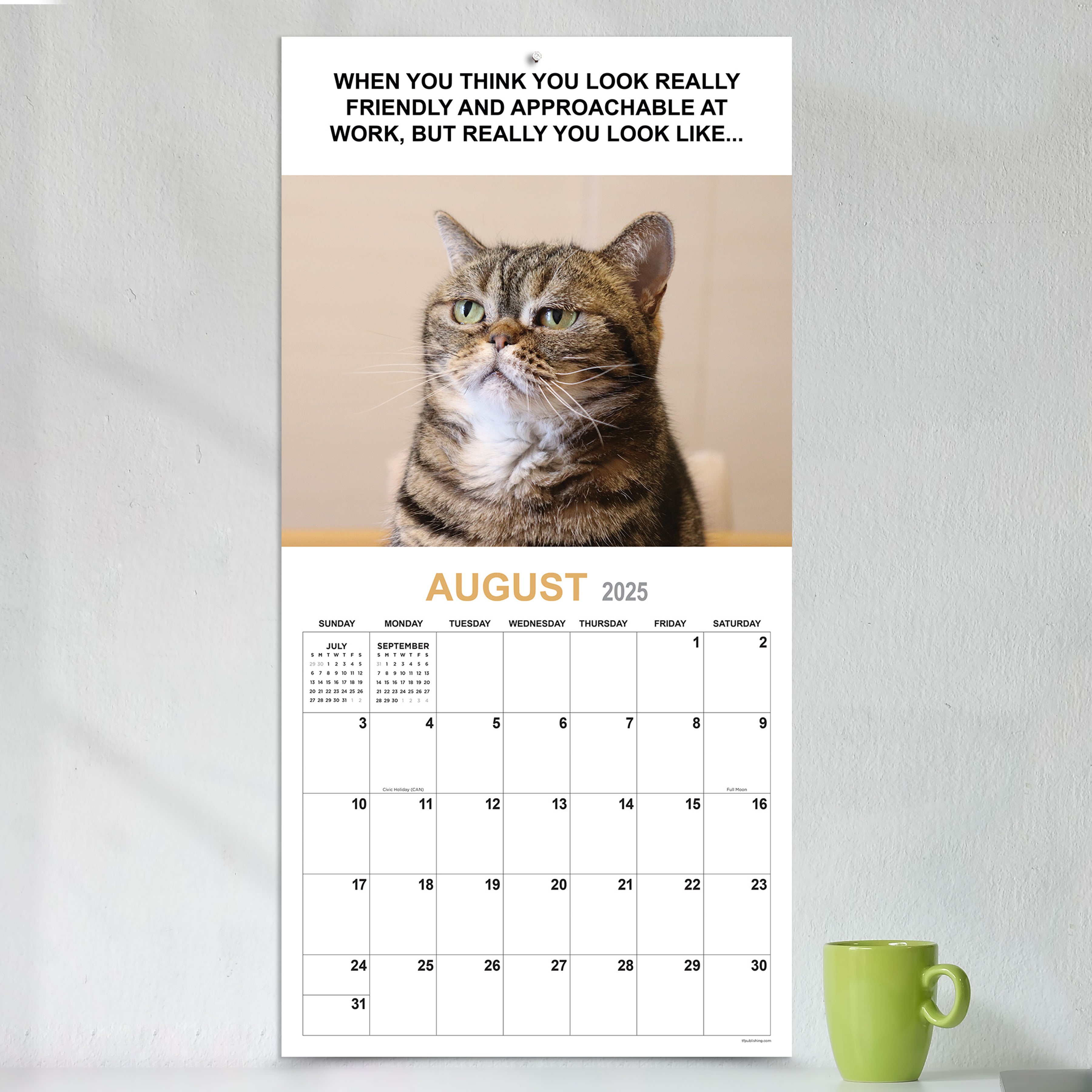 Corporate Cats Wall Calendar 2025 