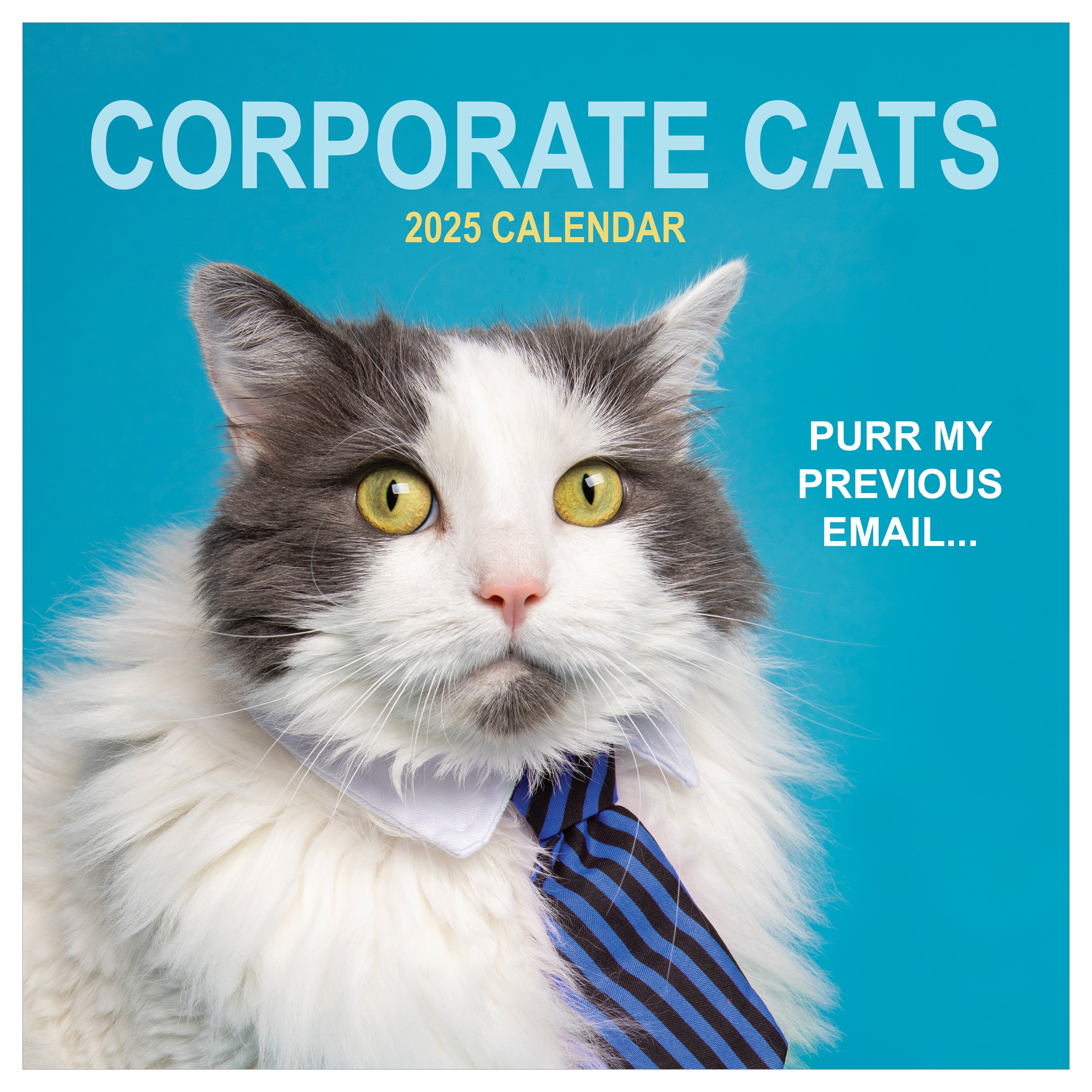 Buy Corporate Cats Wall Calendar 2025 on Selwii