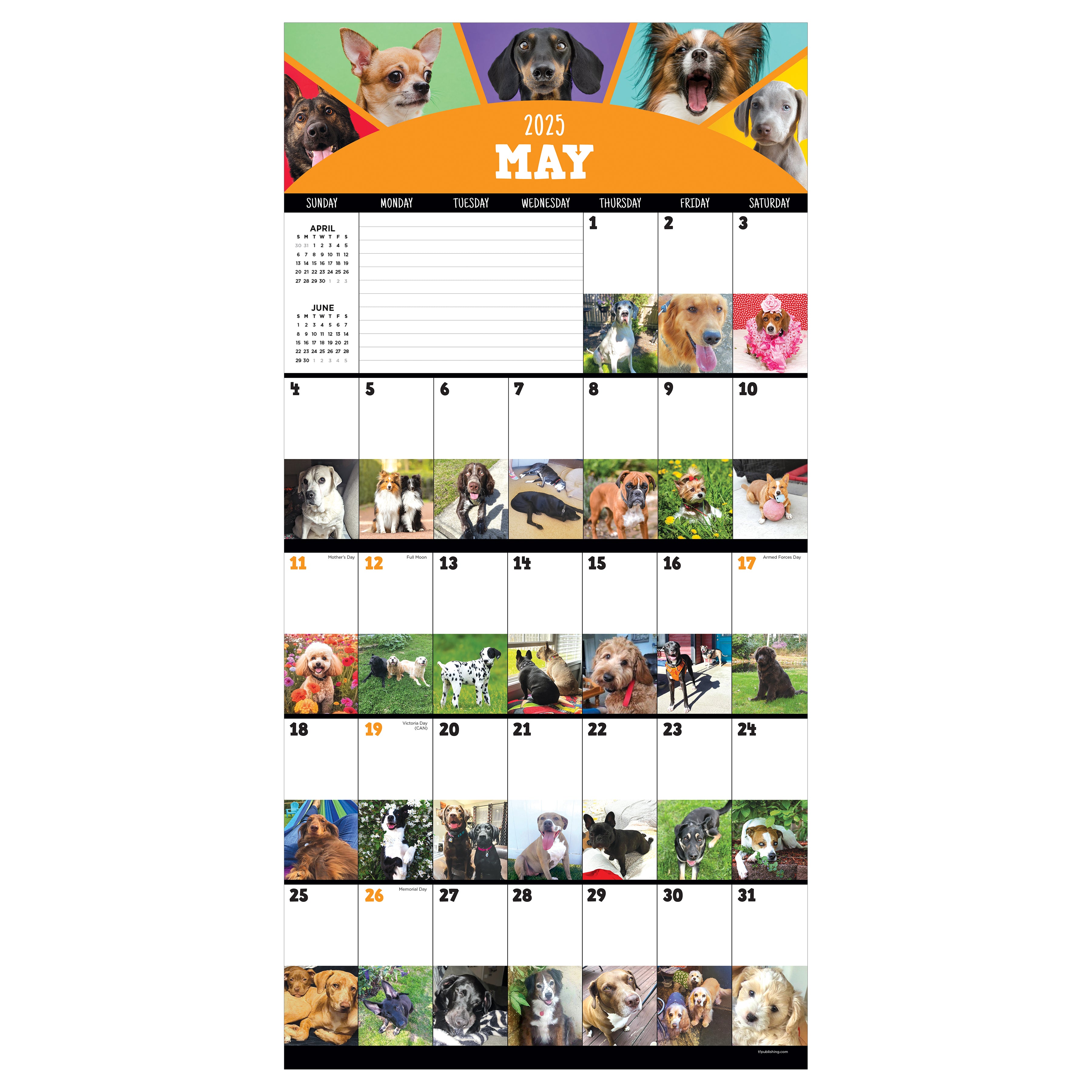 2025 Dog-A-Day Wall Calendar SELWII