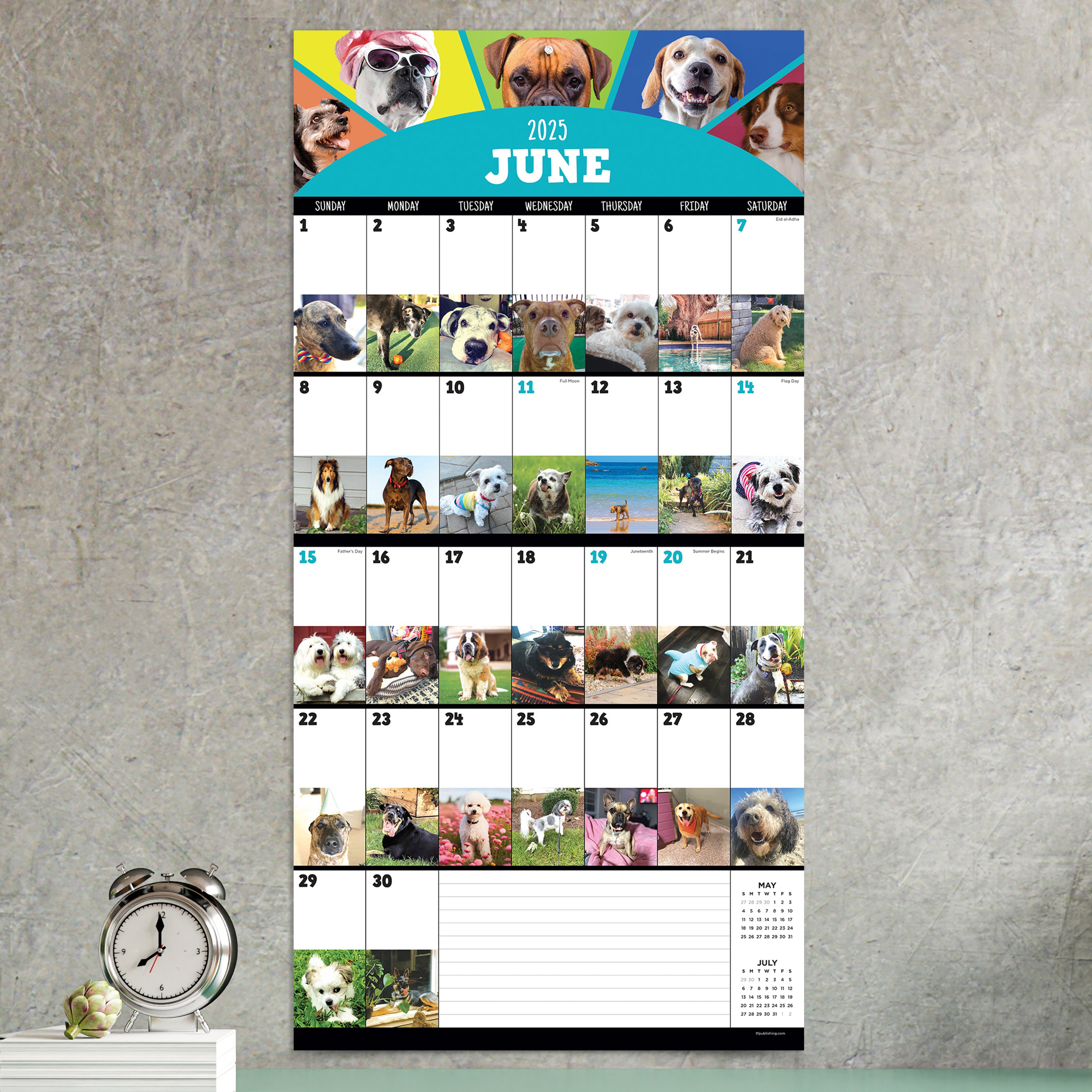 2025 Dog-A-Day Wall Calendar SELWII