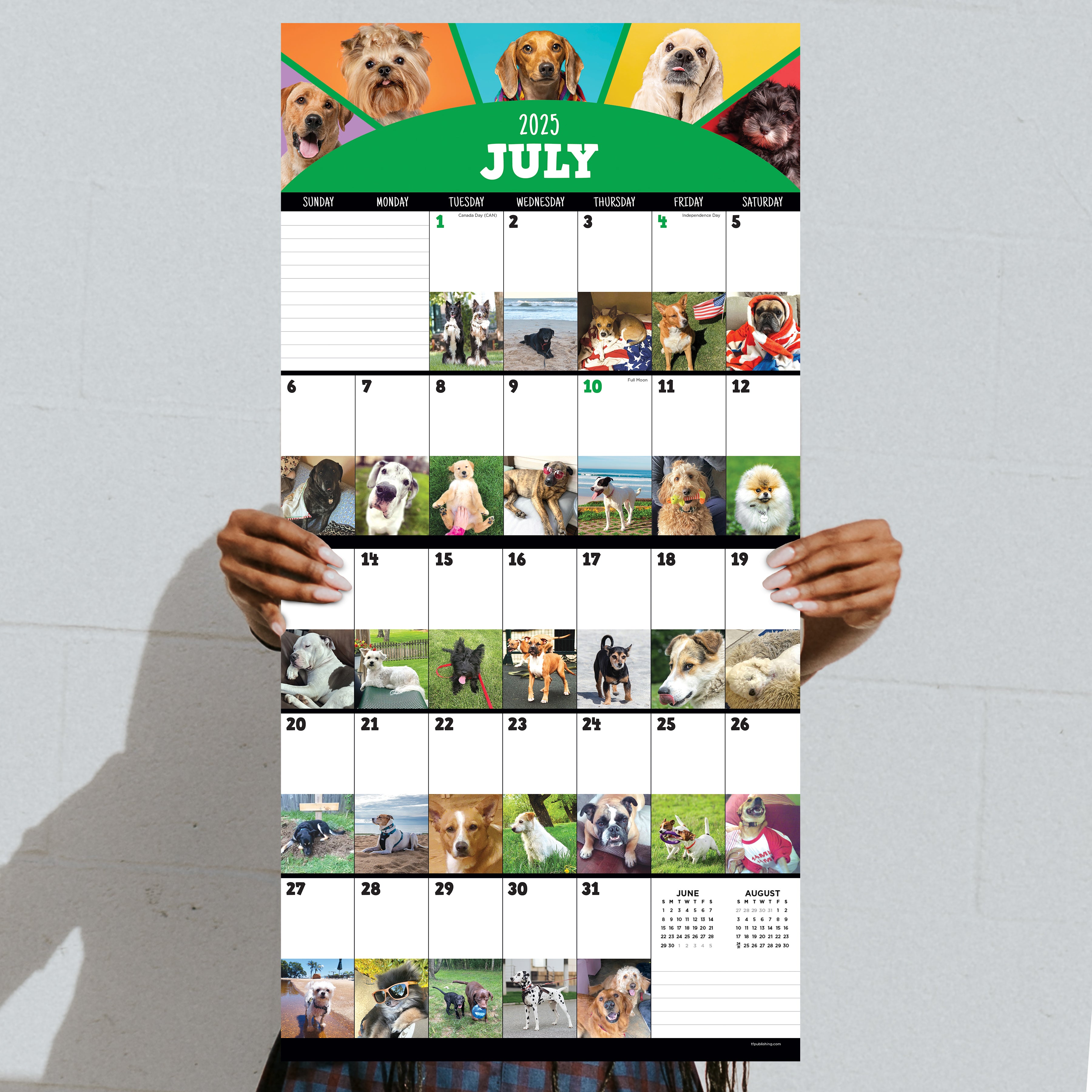 2025 Dog-A-Day Wall Calendar SELWII