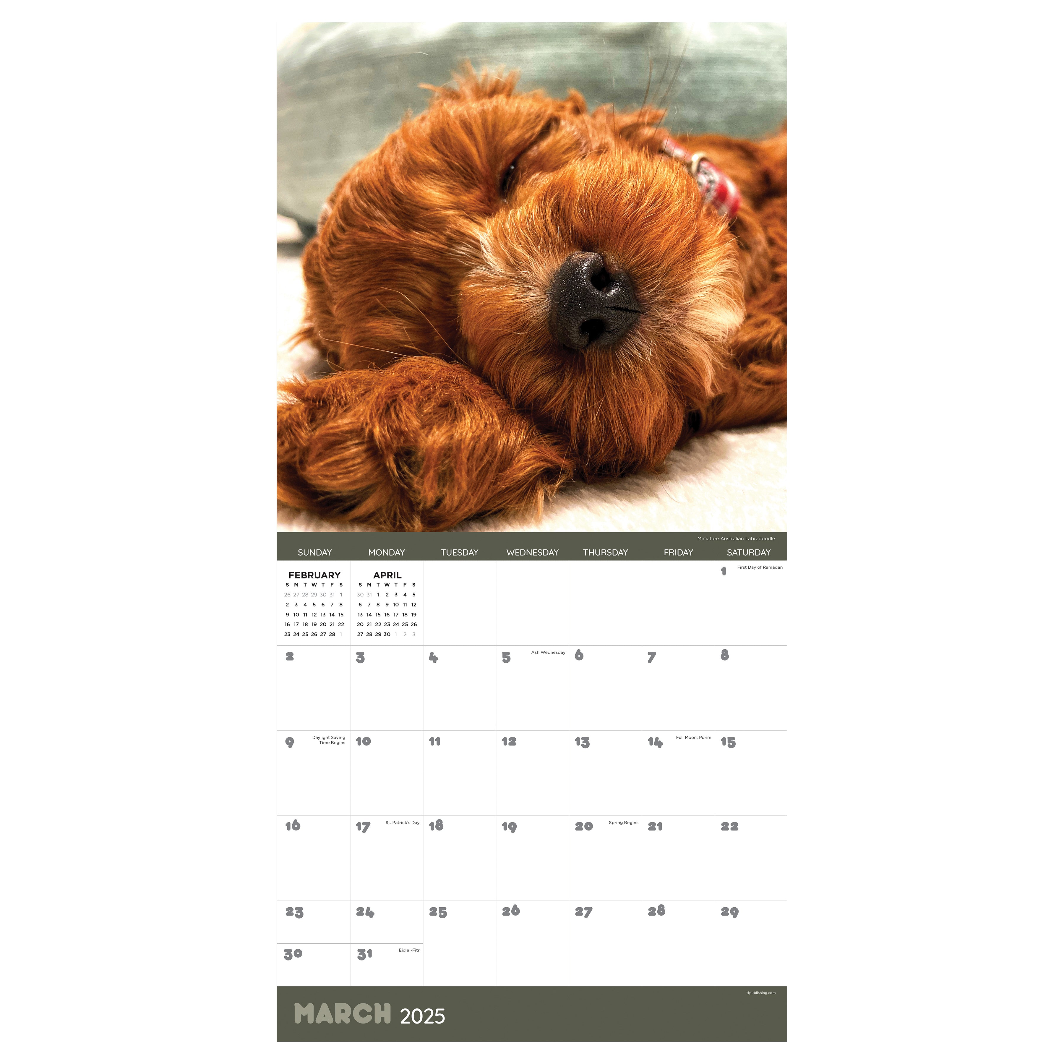 2025 Dog Dreams Wall Calendar SELWII