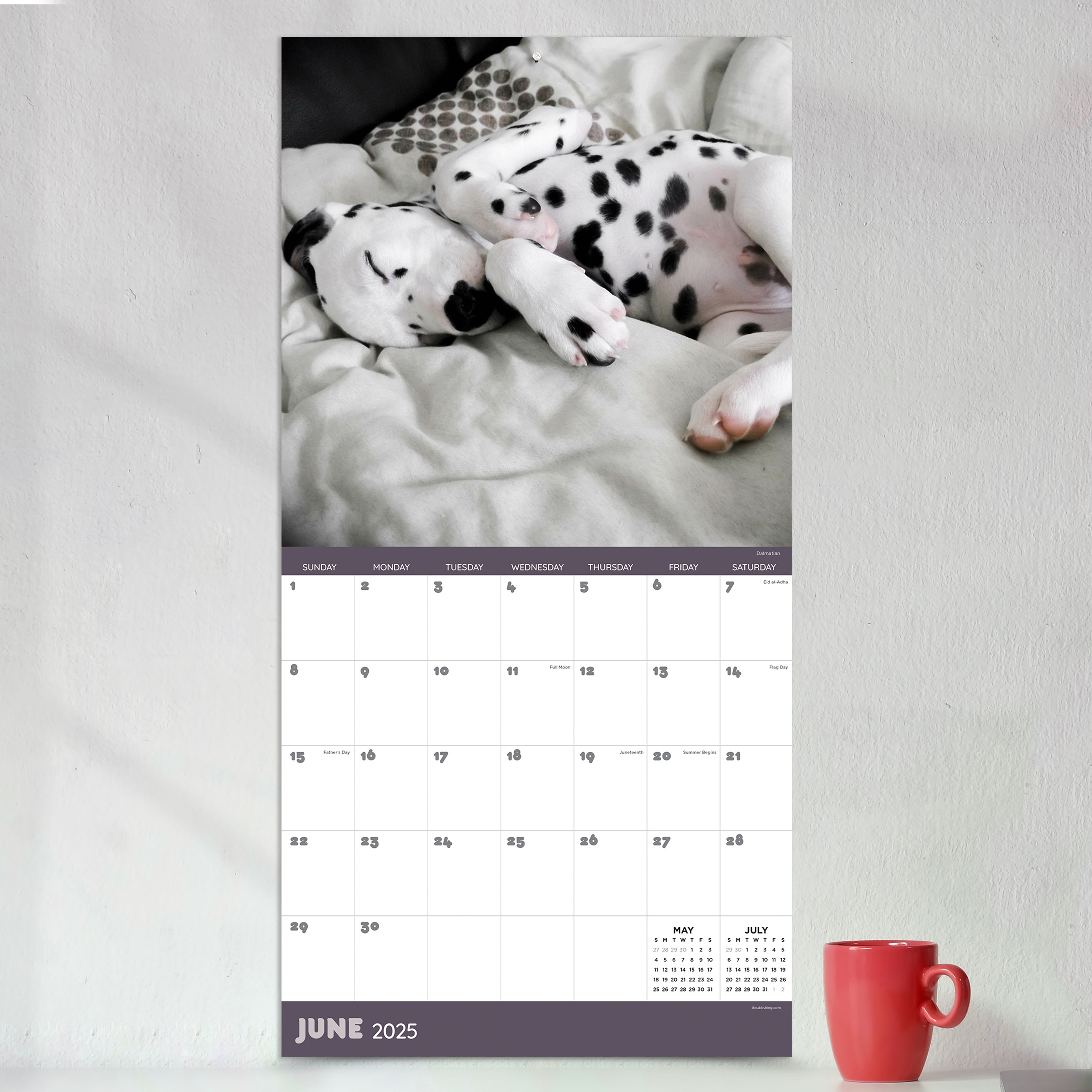 2025 Dog Dreams Wall Calendar SELWII