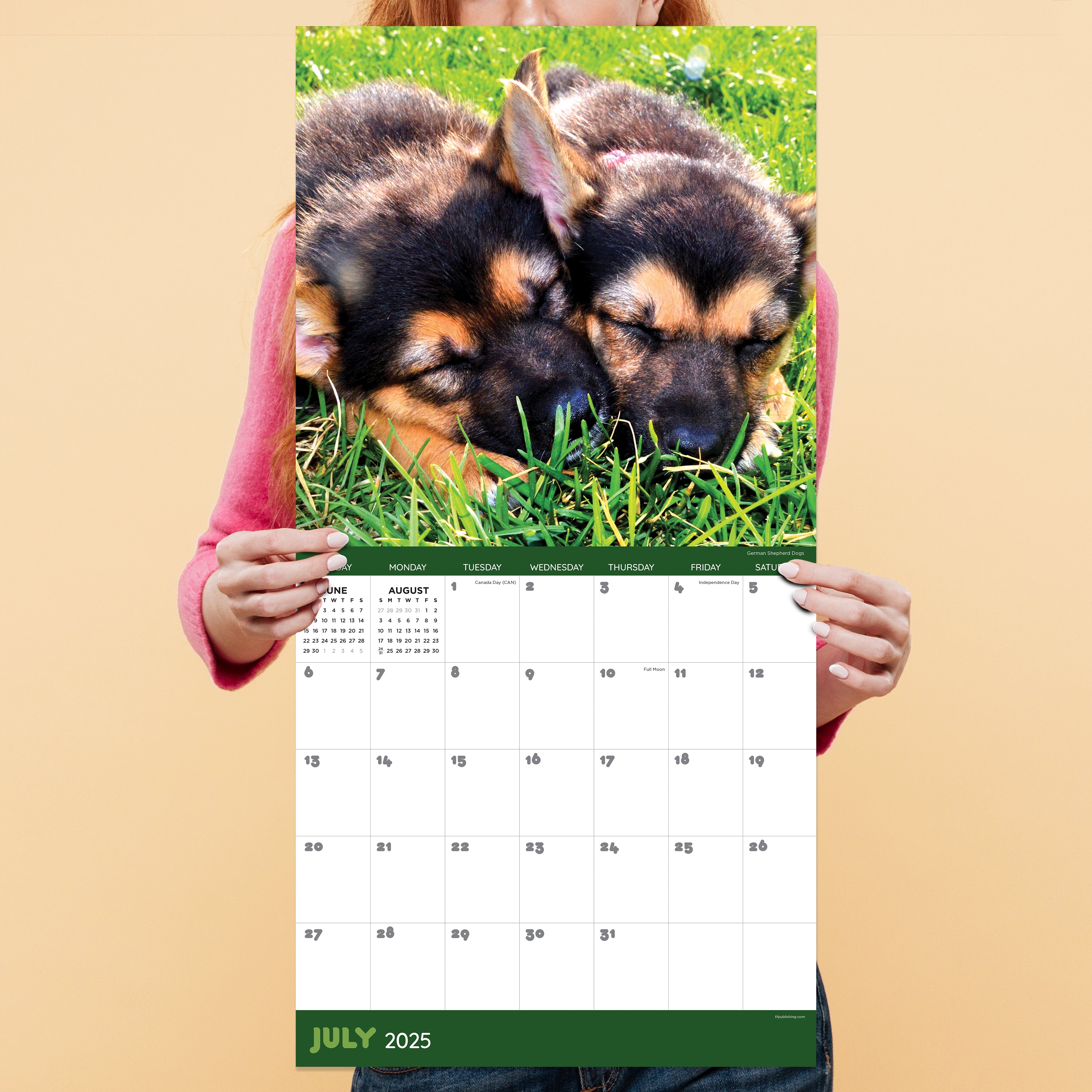 2025 Dog Dreams Wall Calendar SELWII