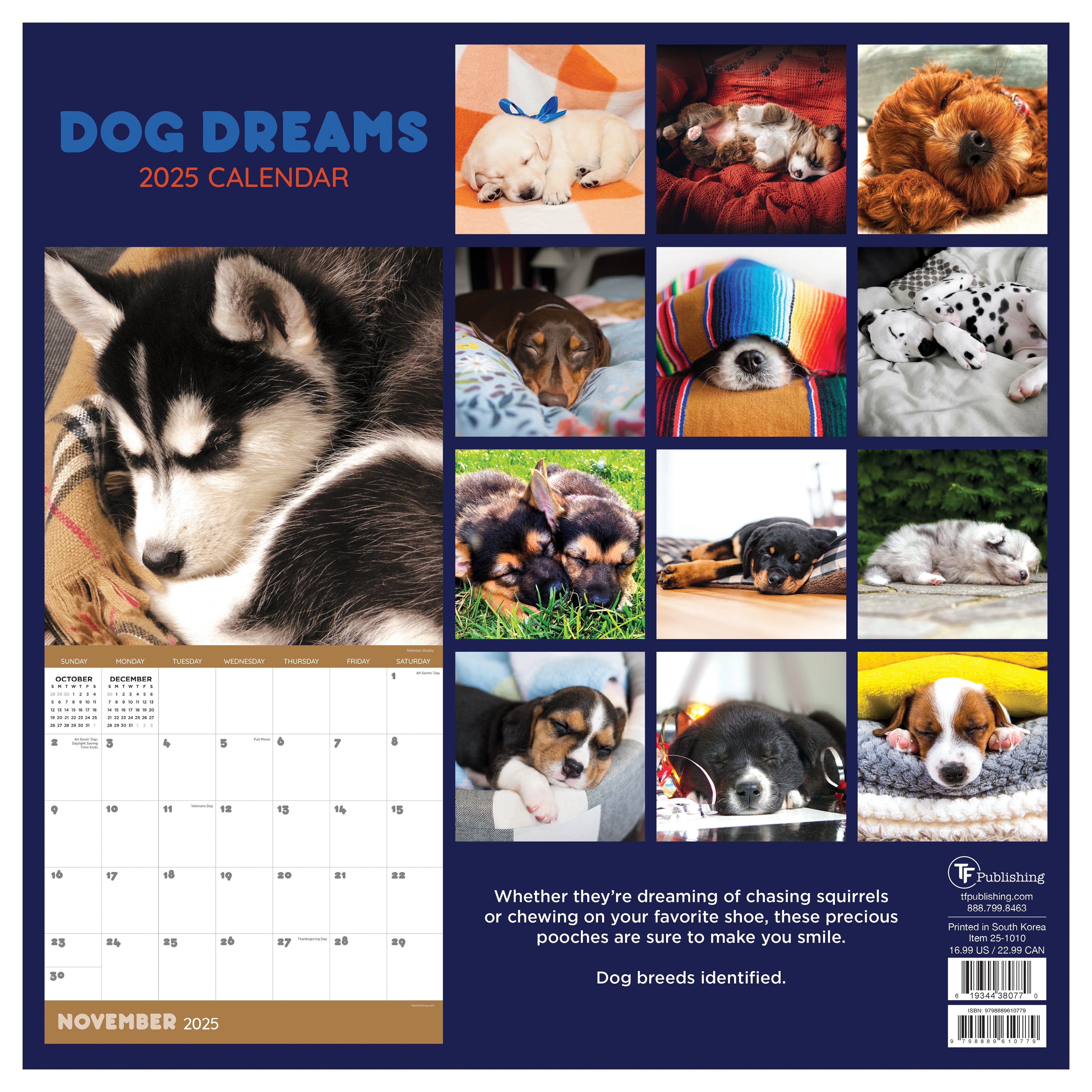 2025 Dog Dreams Wall Calendar SELWII