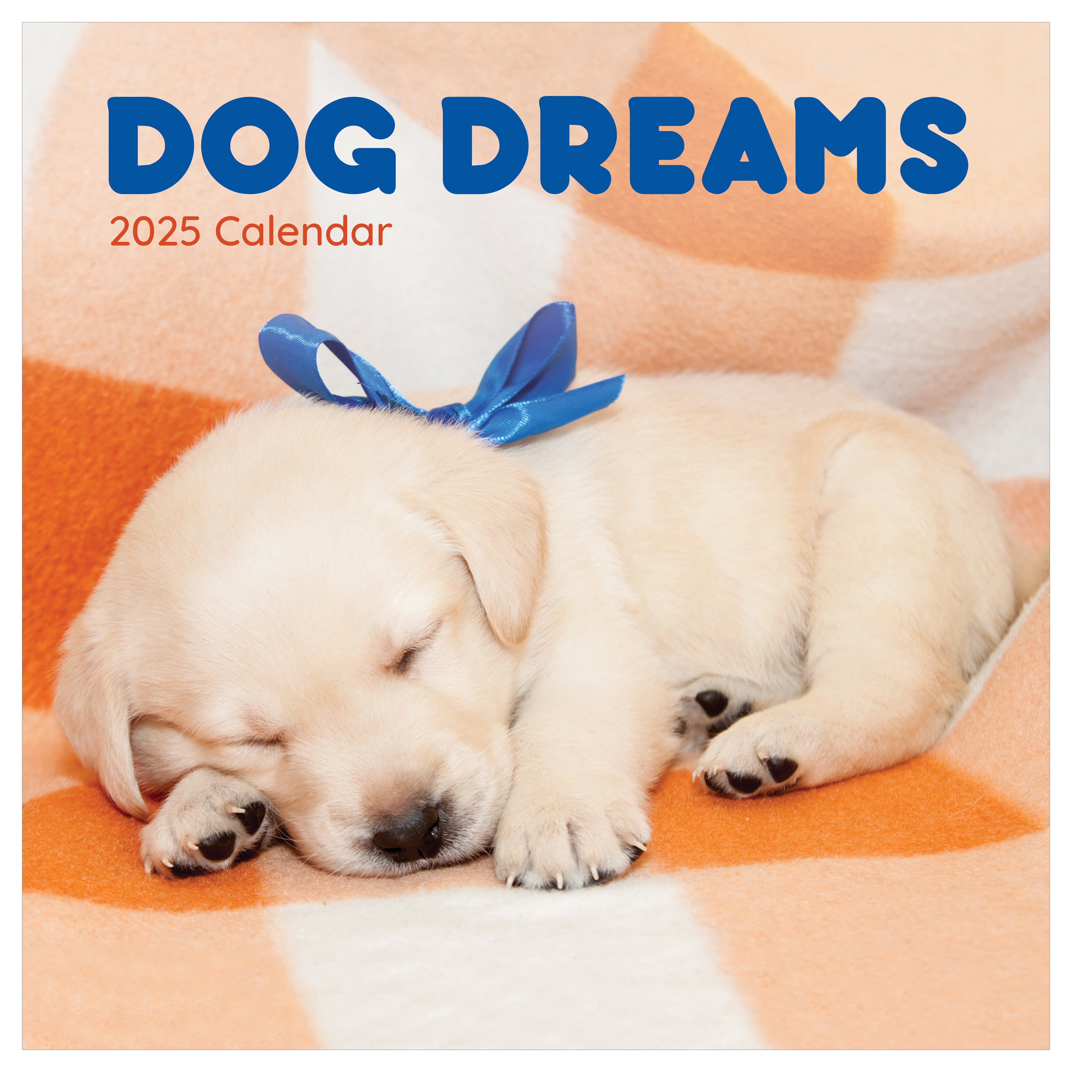 2025 Dog Dreams Wall Calendar SELWII