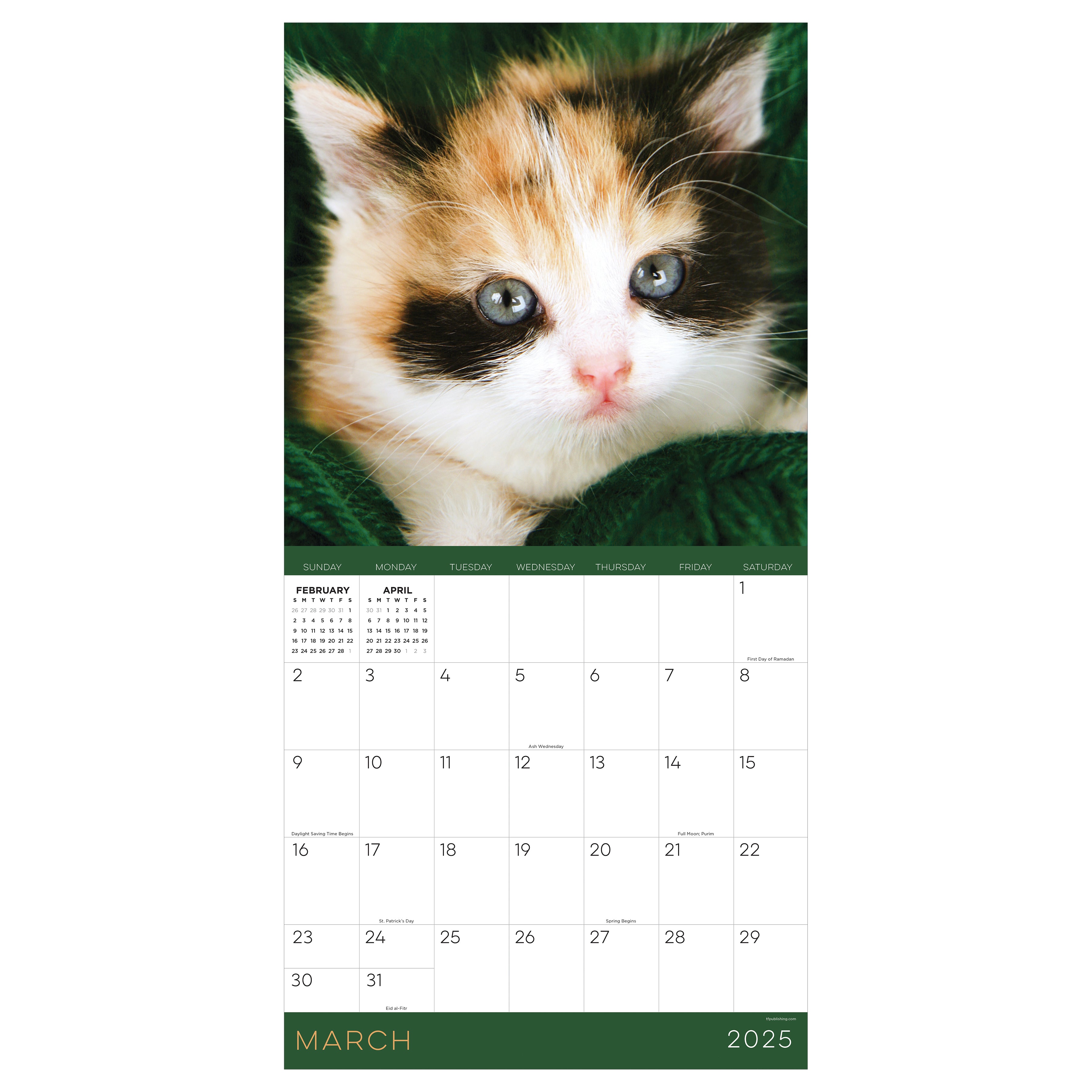 2025 Kittens Wall Calendar SELWII