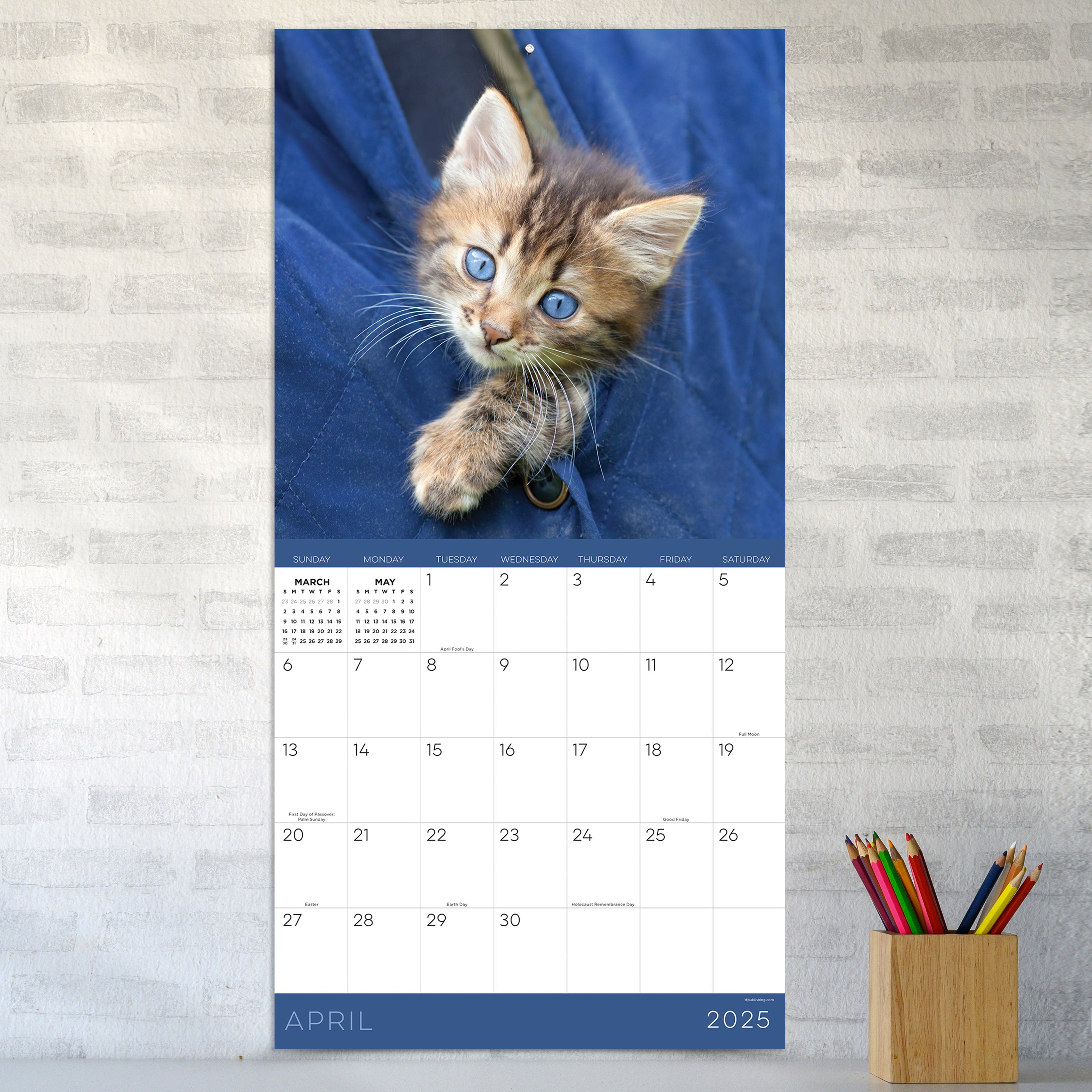 2025 Kittens Wall Calendar SELWII