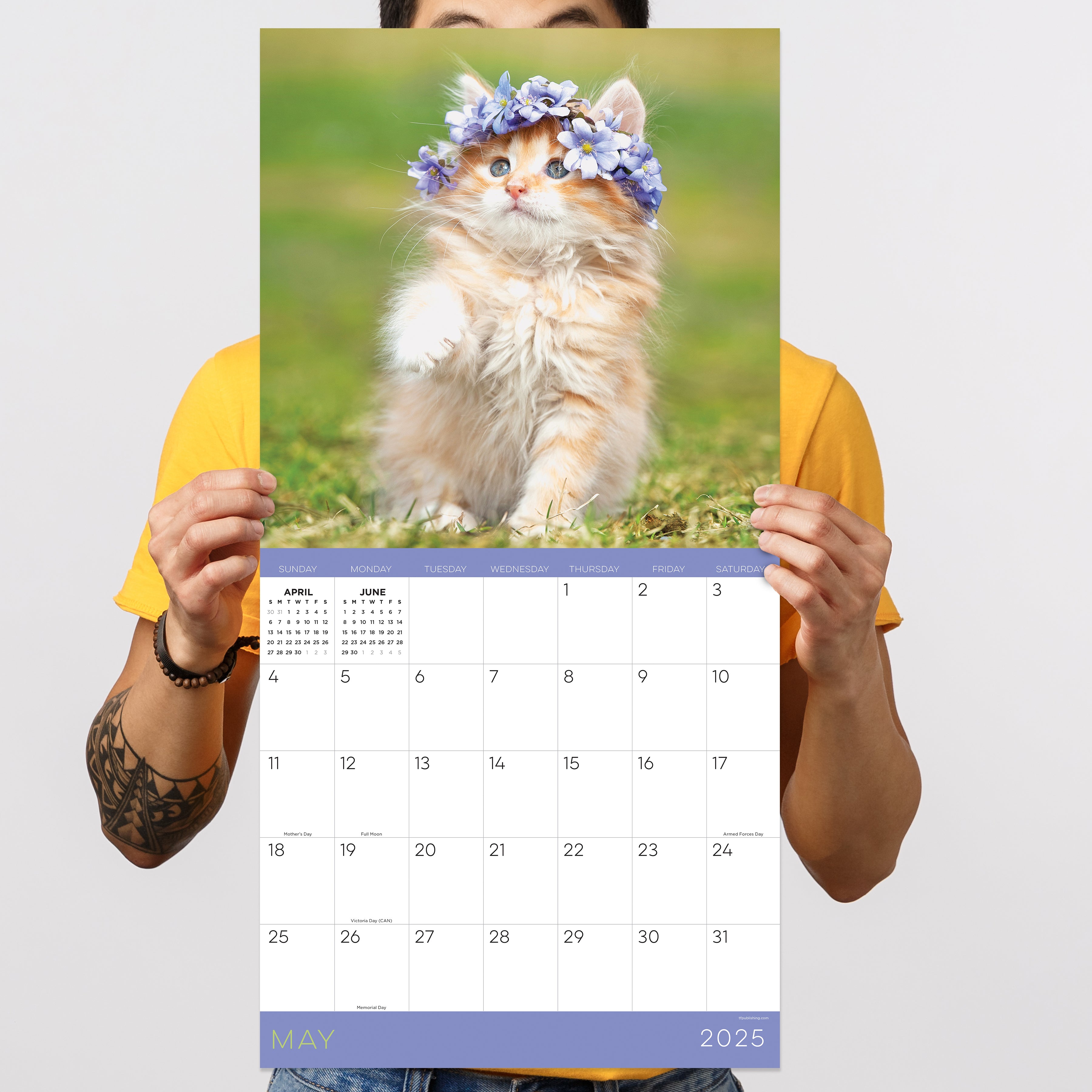 2025 Kittens Wall Calendar SELWII