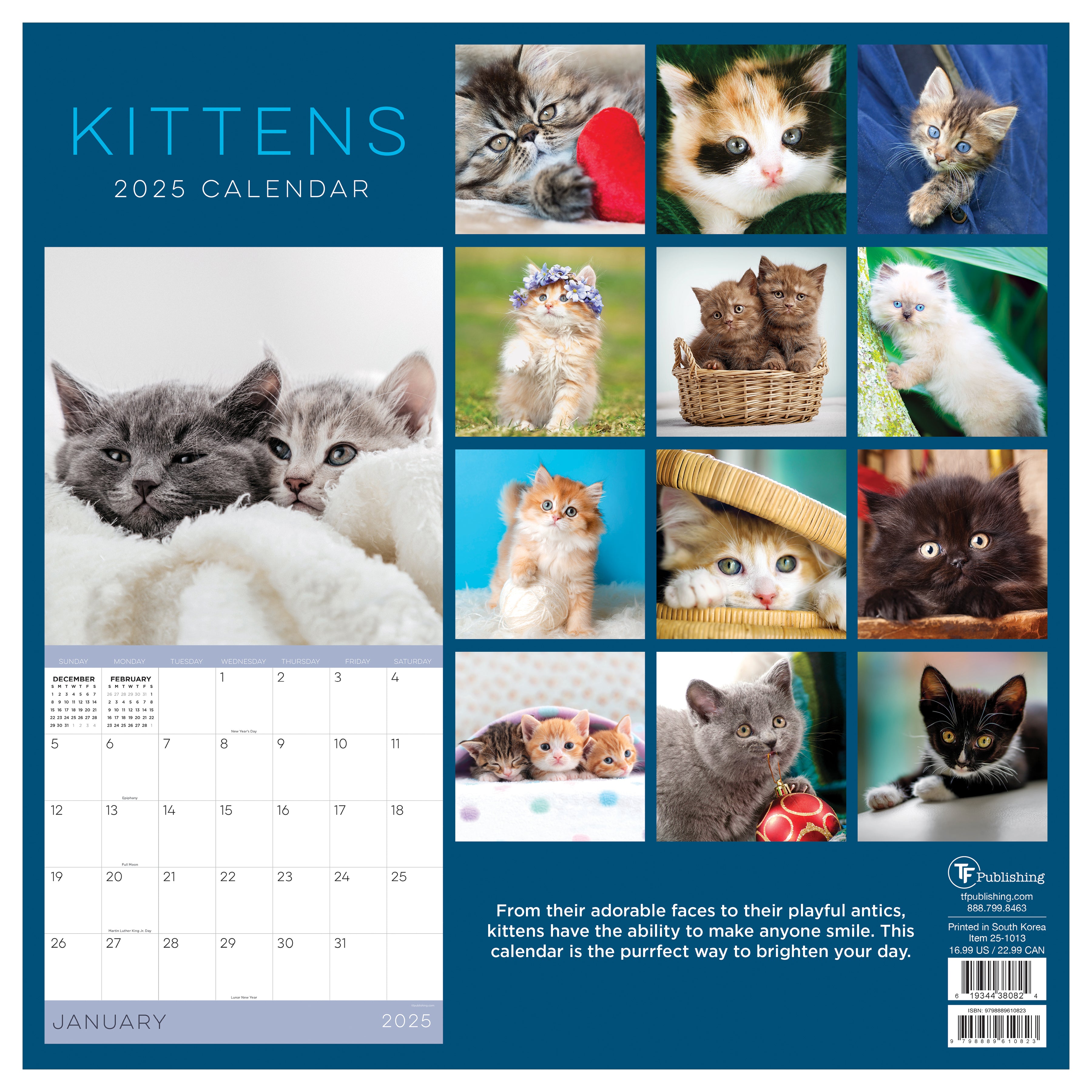 2025 Kittens Wall Calendar SELWII