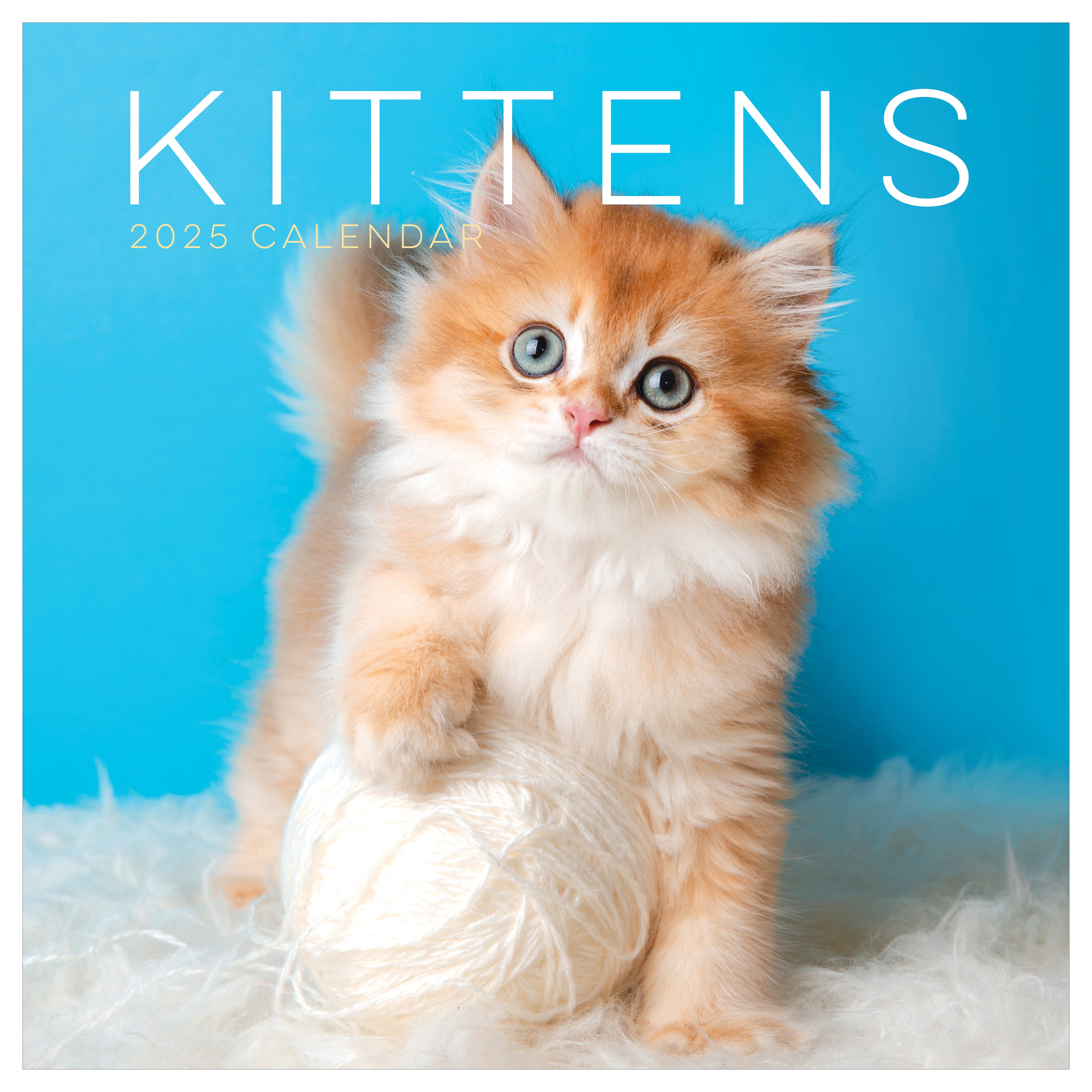 2025 Kittens Wall Calendar SELWII