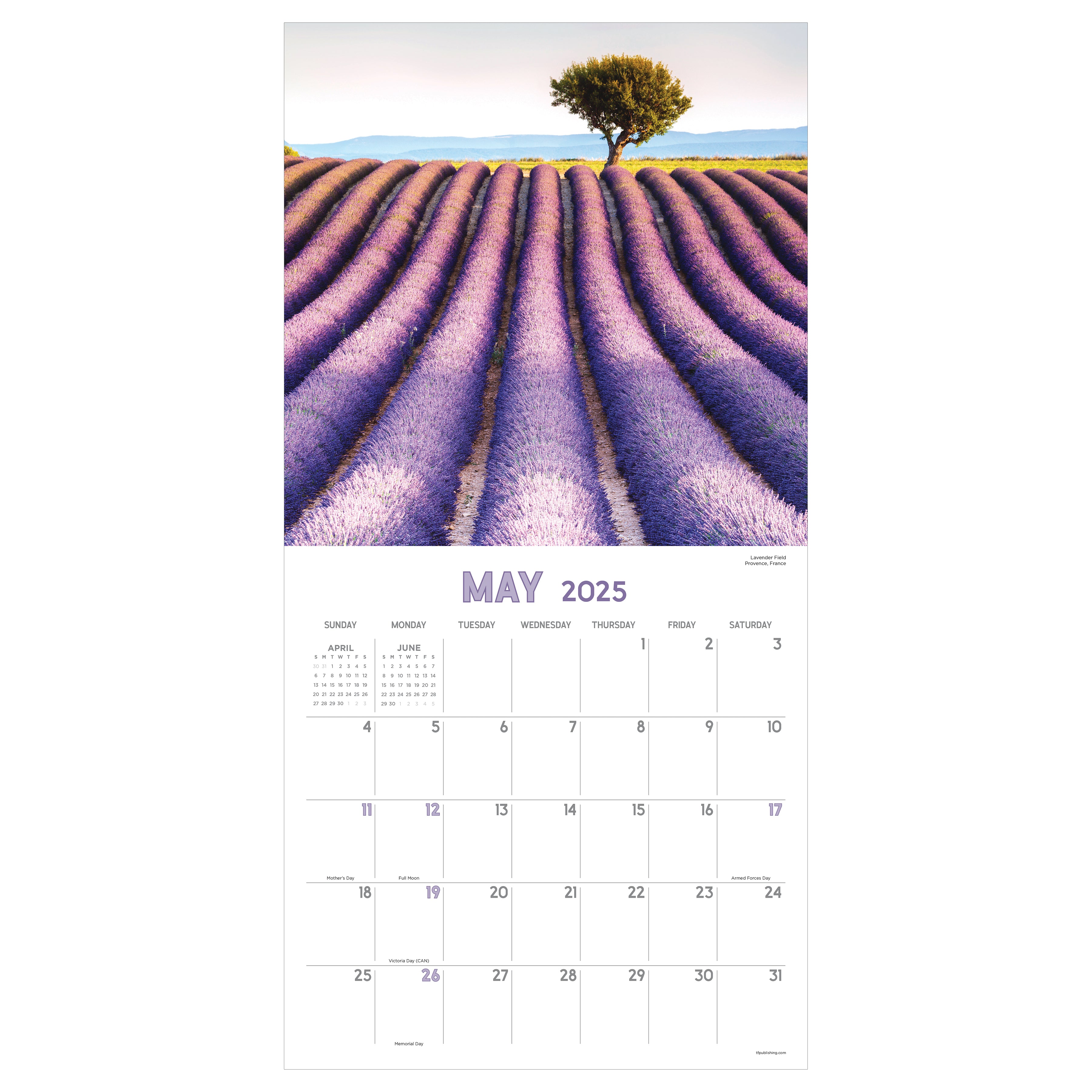 2025 Landscapes Wall Calendar SELWII