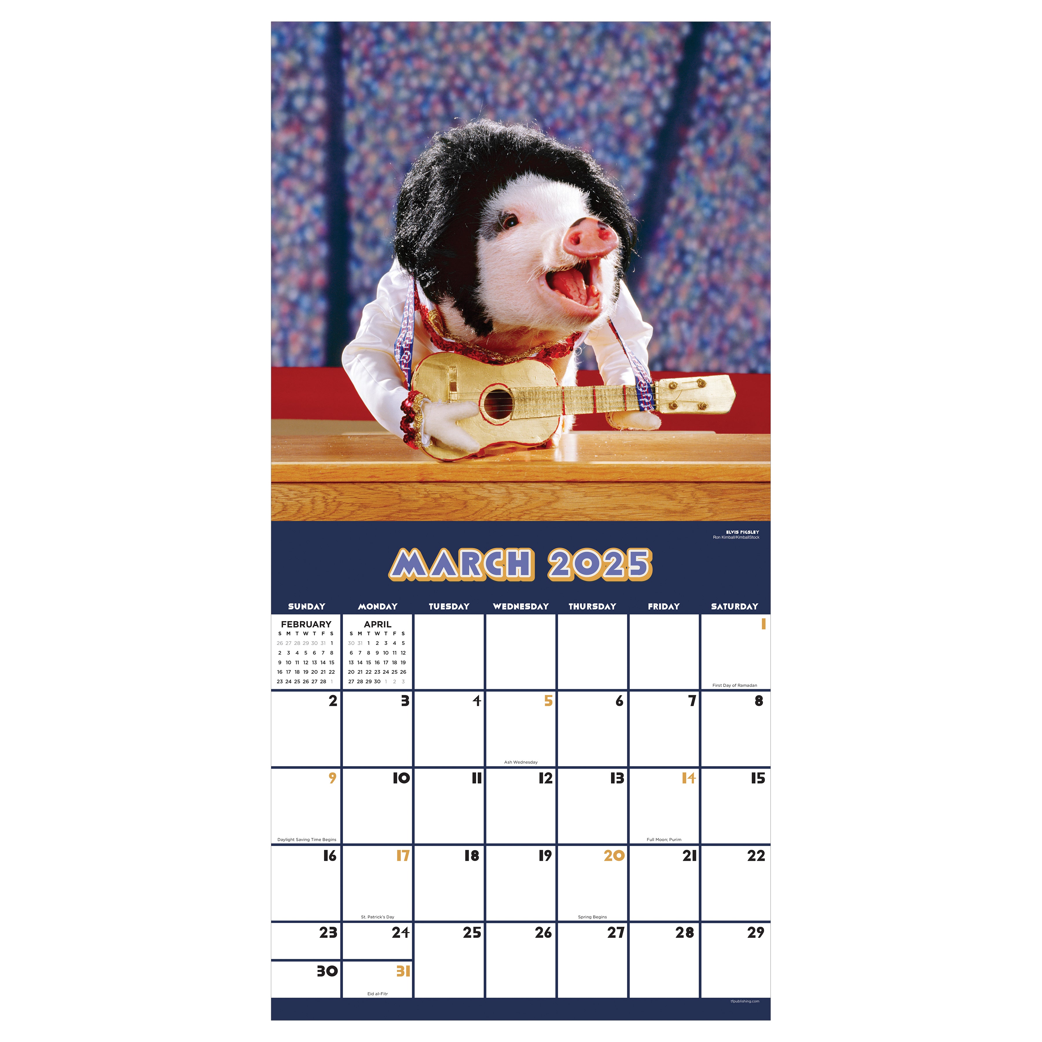 2025 Playful Pigs Wall Calendar SELWII