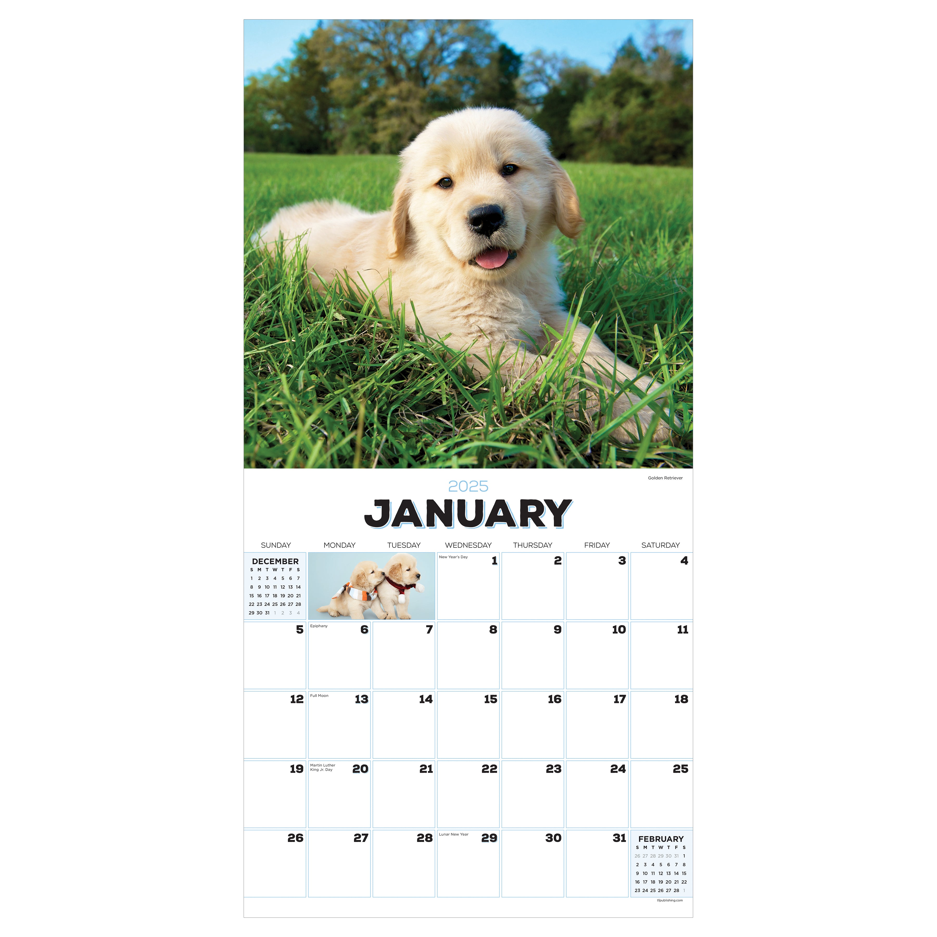 2025 Puppies Wall Calendar SELWII