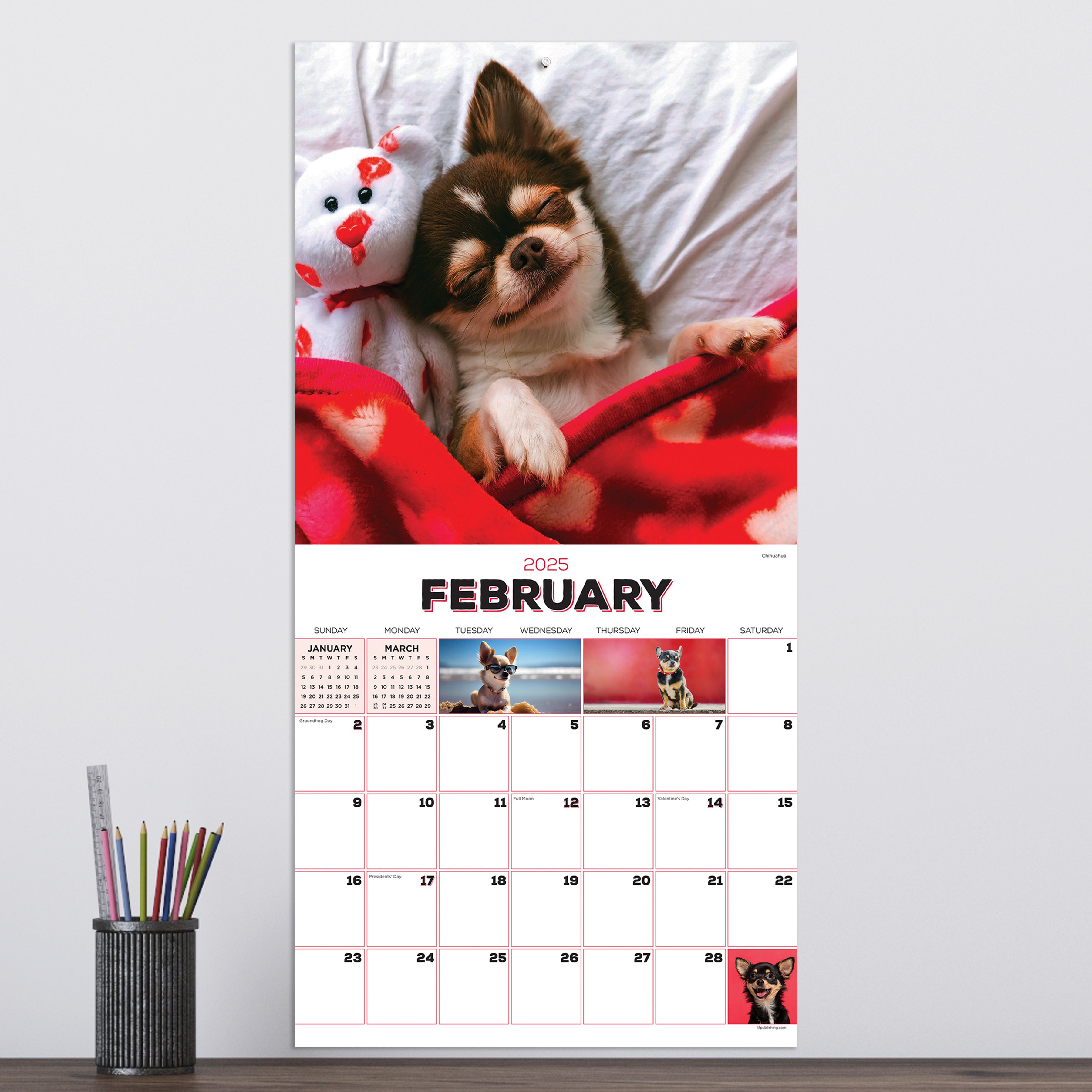 2025 Puppies Wall Calendar SELWII