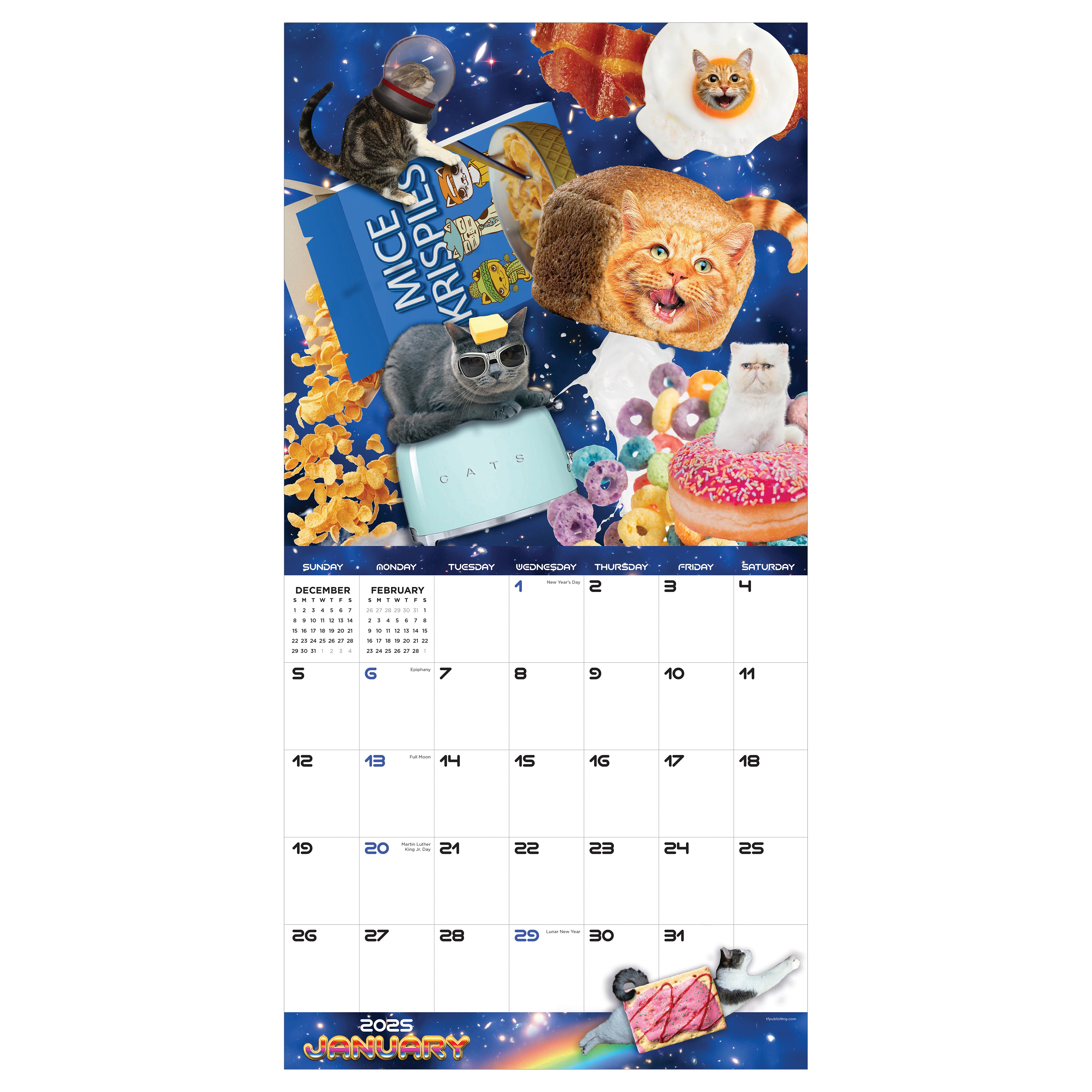 2025 Space Cats Wall Calendar SELWII