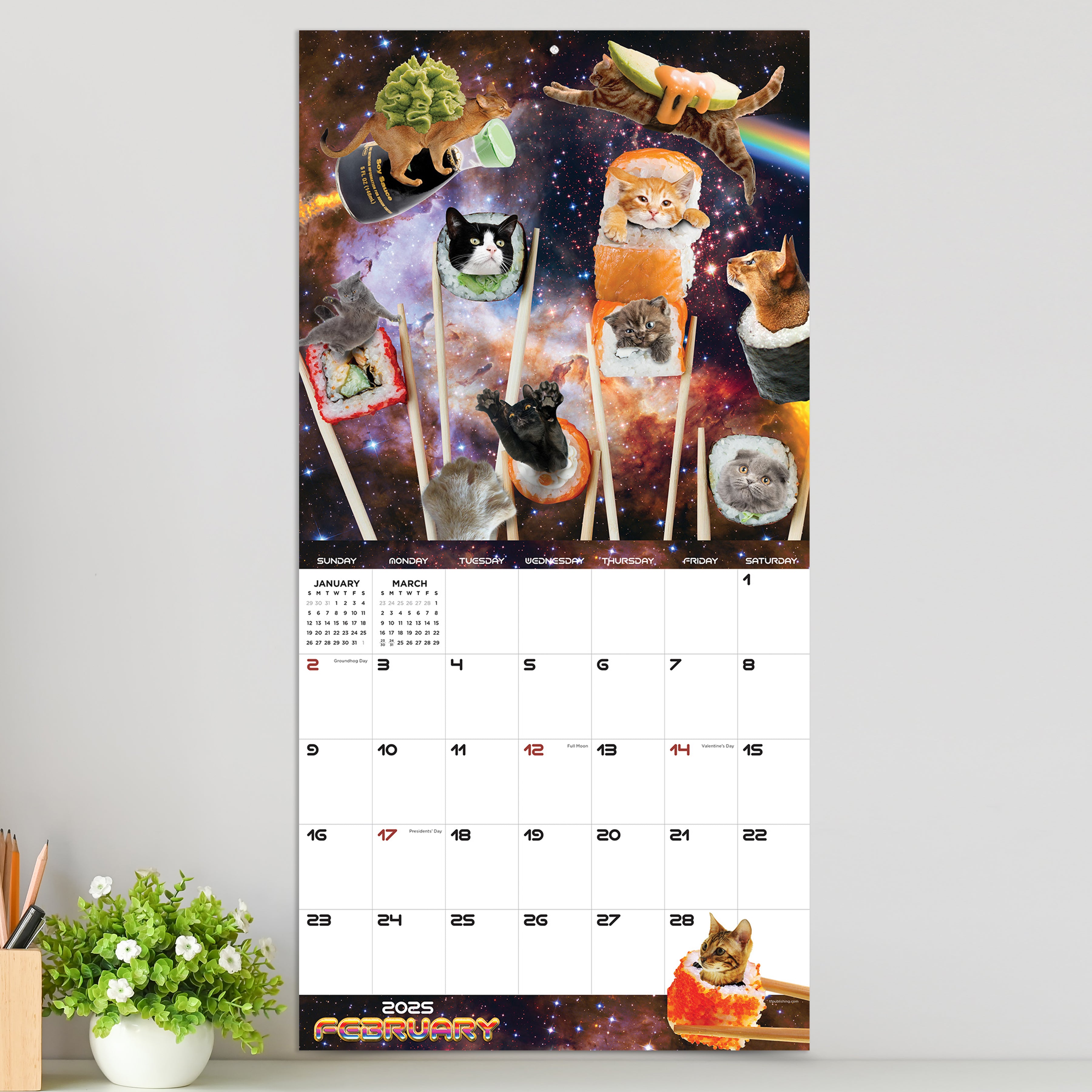 2025 Space Cats Wall Calendar SELWII