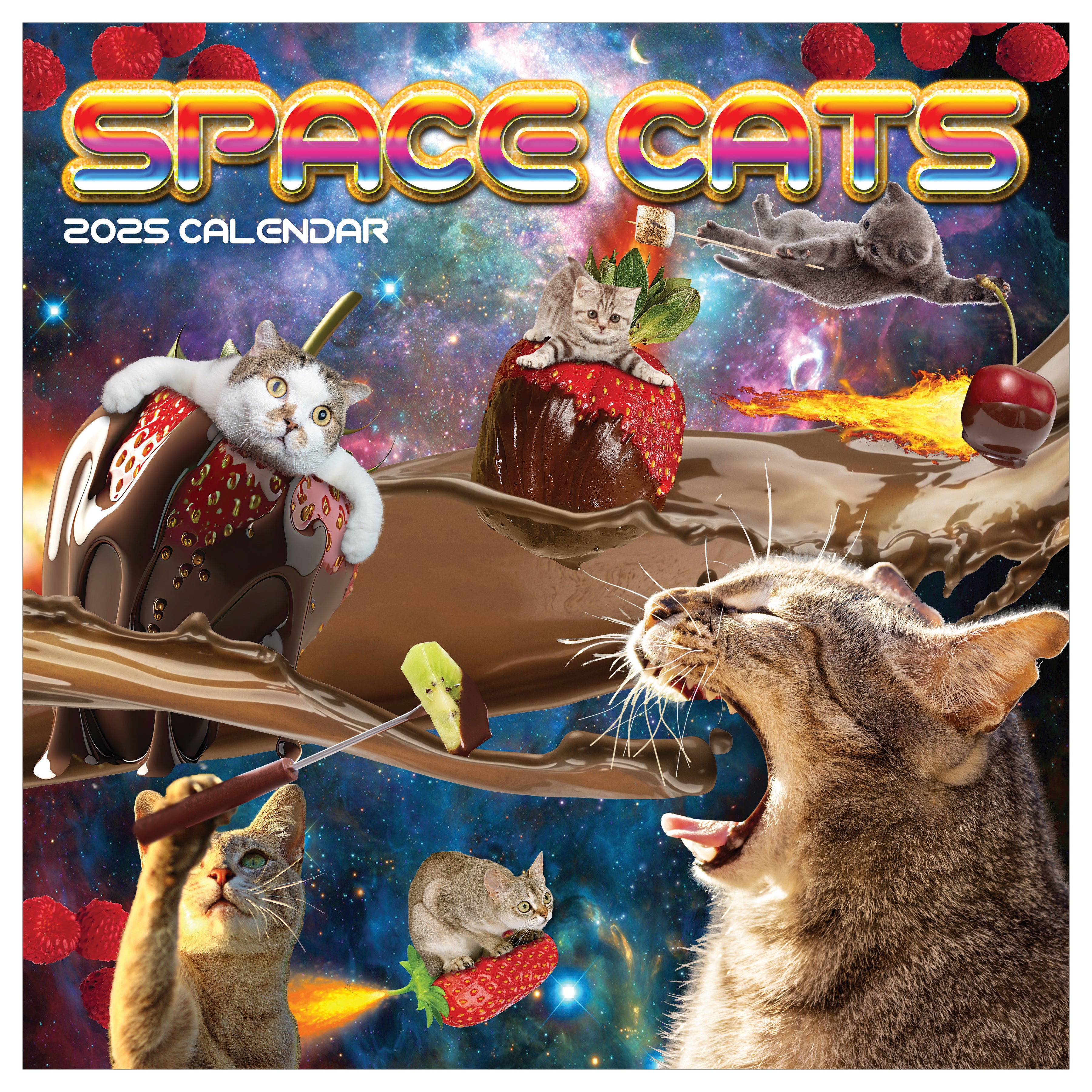 2025 Space Cats Wall Calendar SELWII