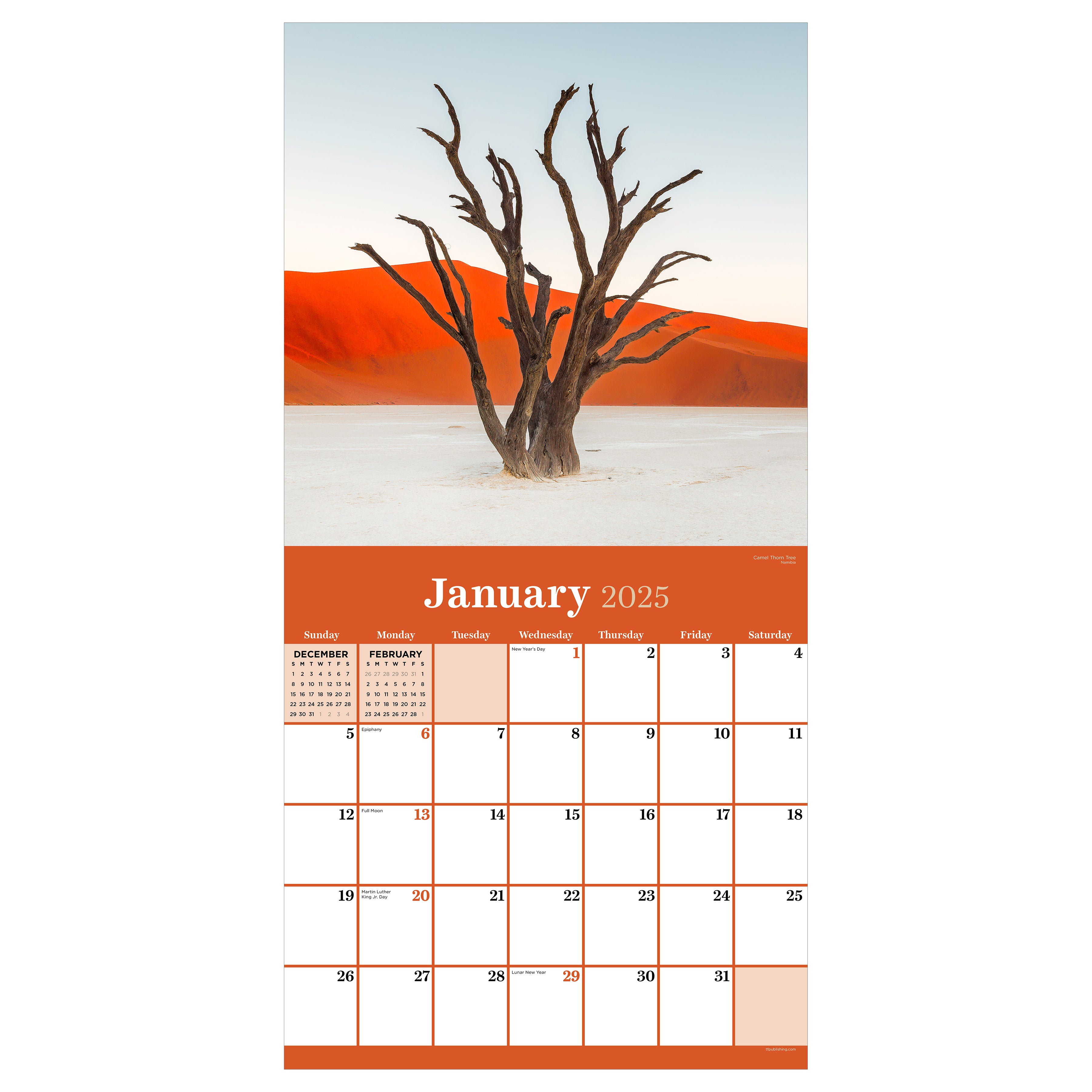 2025 Trees Wall Calendar SELWII