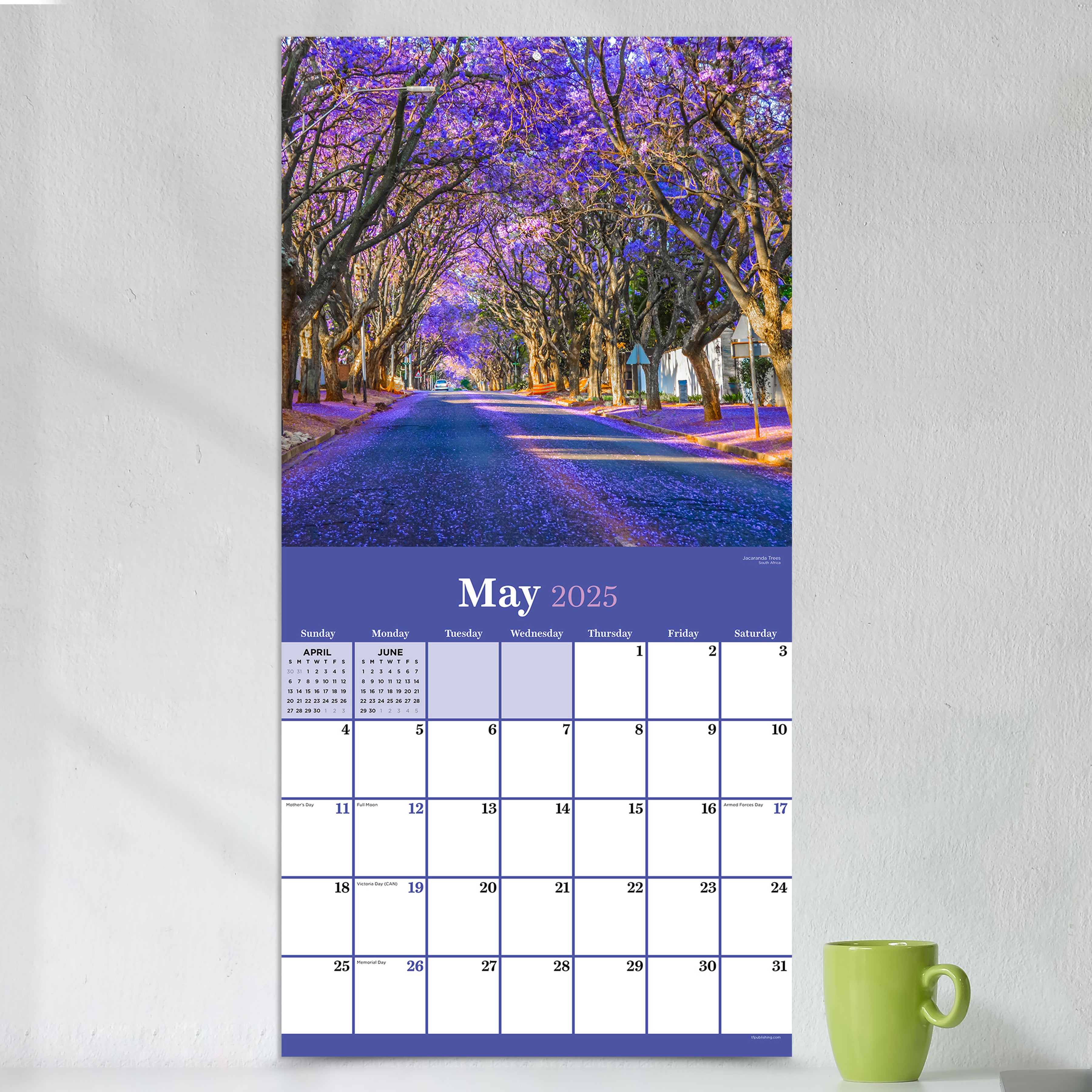 2025 Trees Wall Calendar SELWII