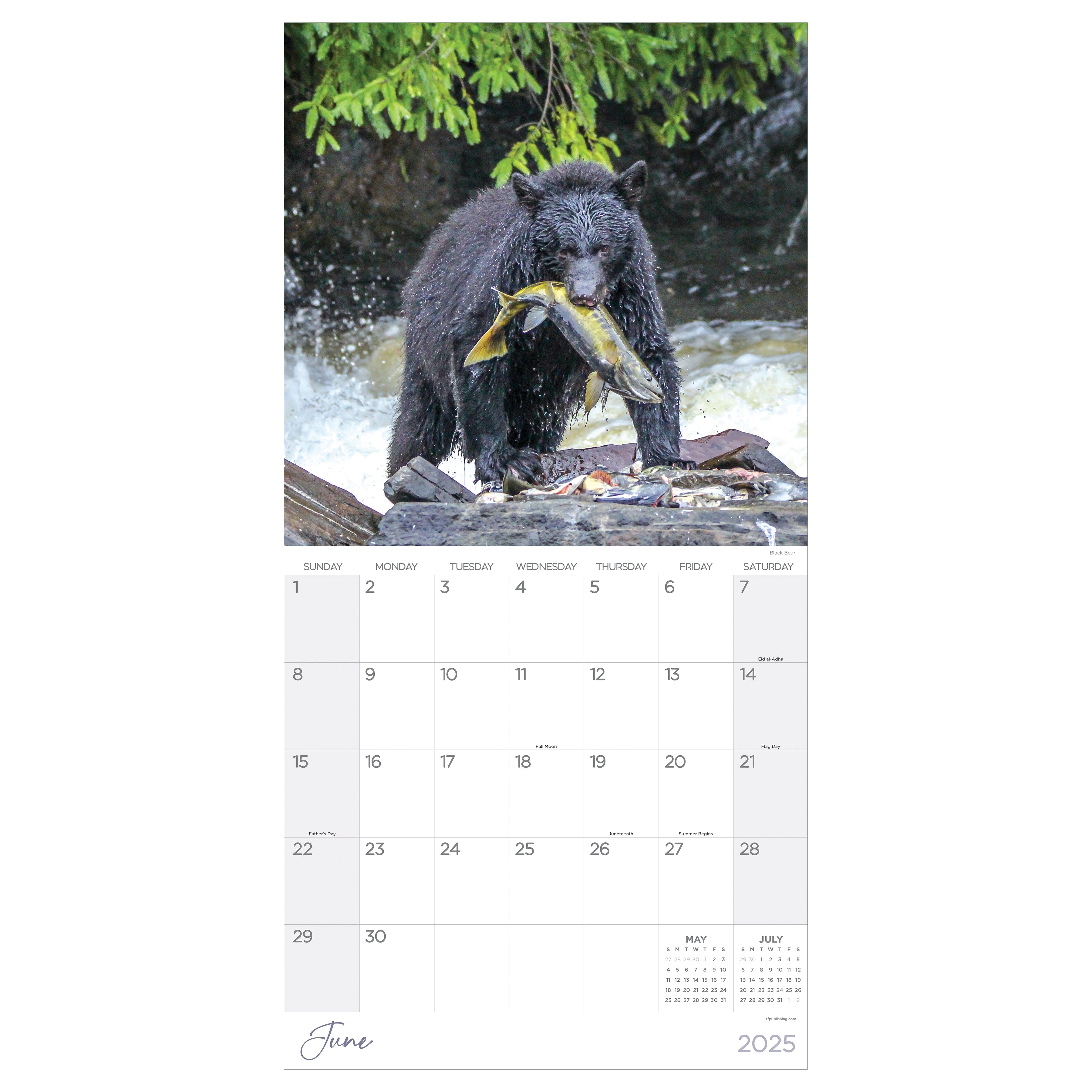 2025 Wild Wall Calendar SELWII