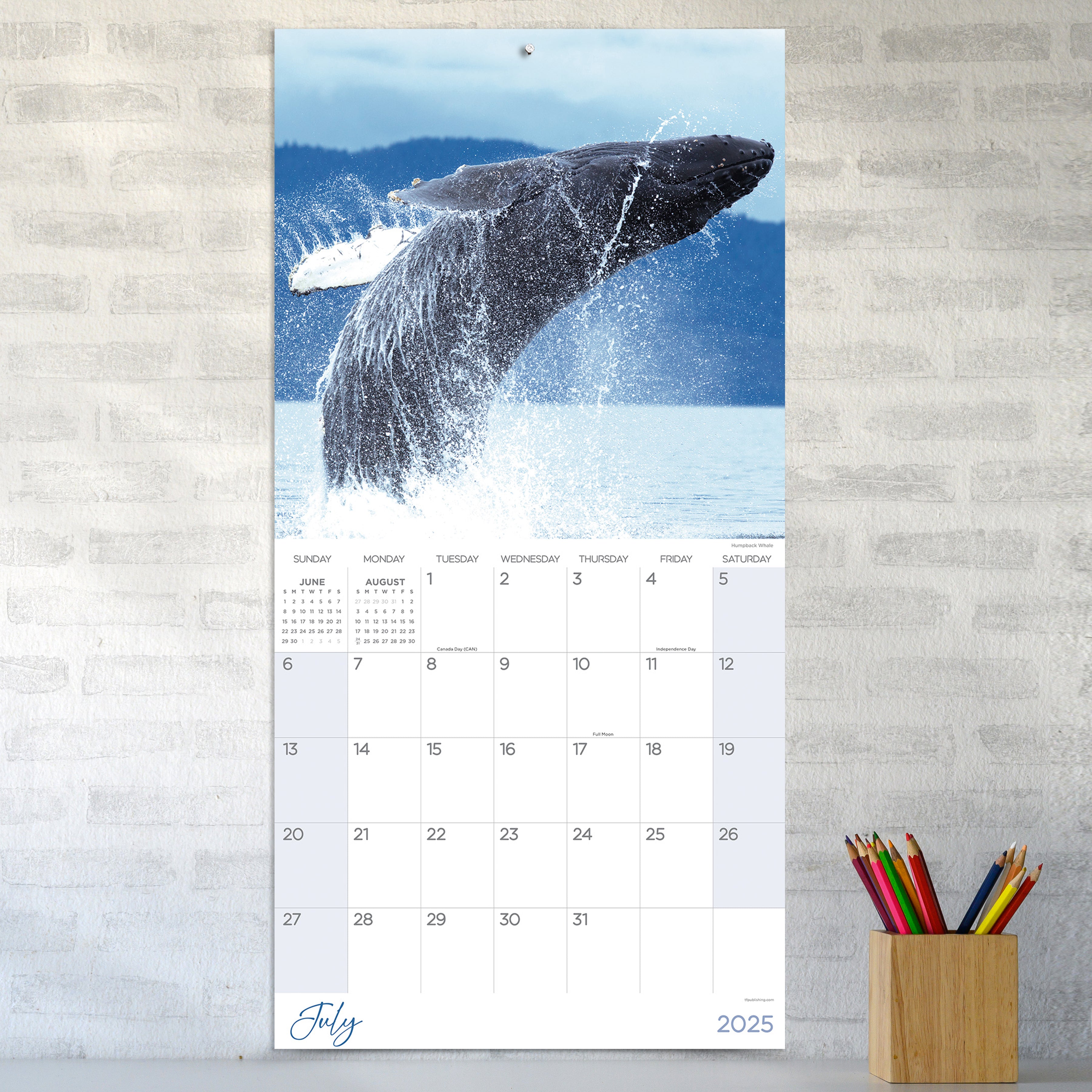 2025 Wild Wall Calendar SELWII