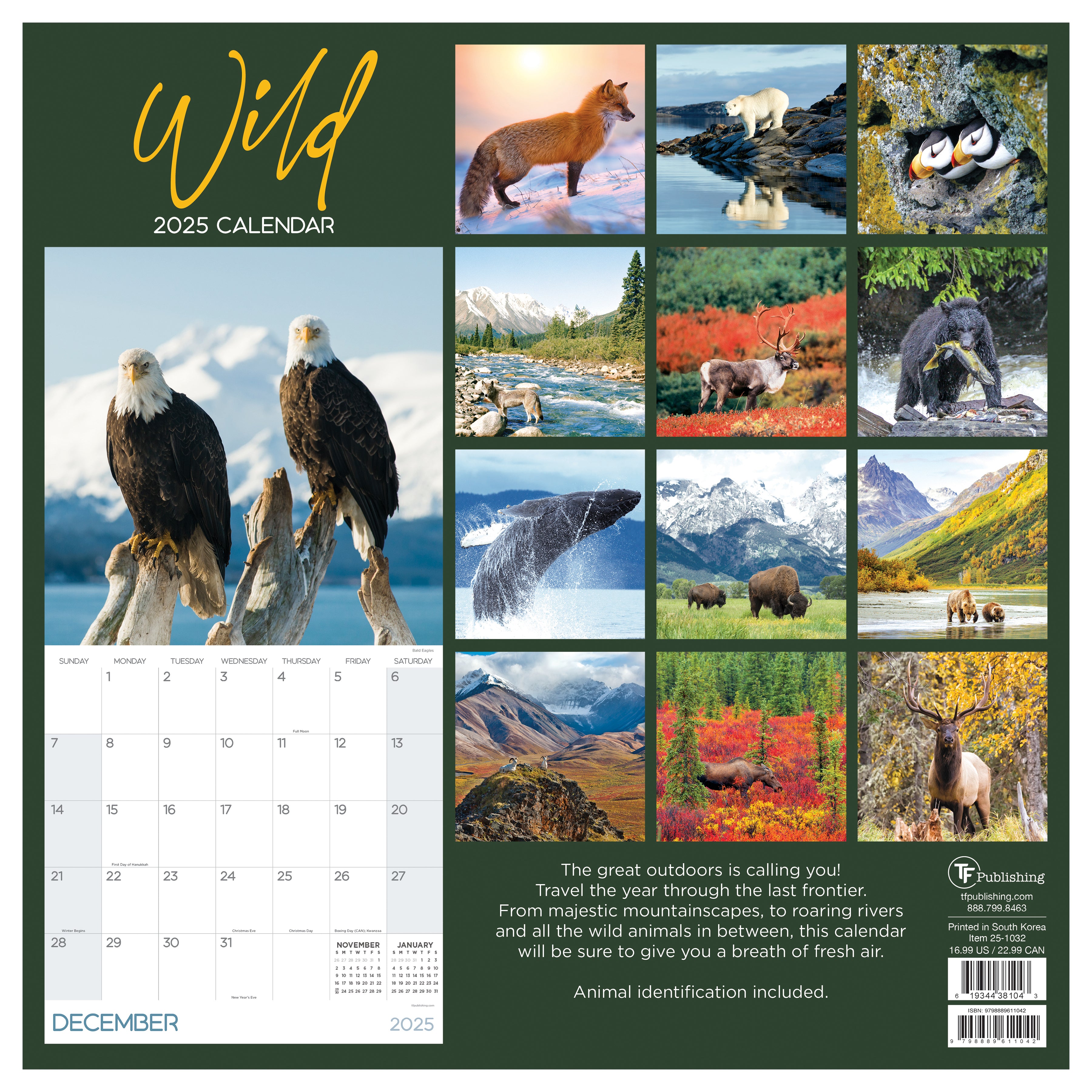 2025 Wild Wall Calendar SELWII