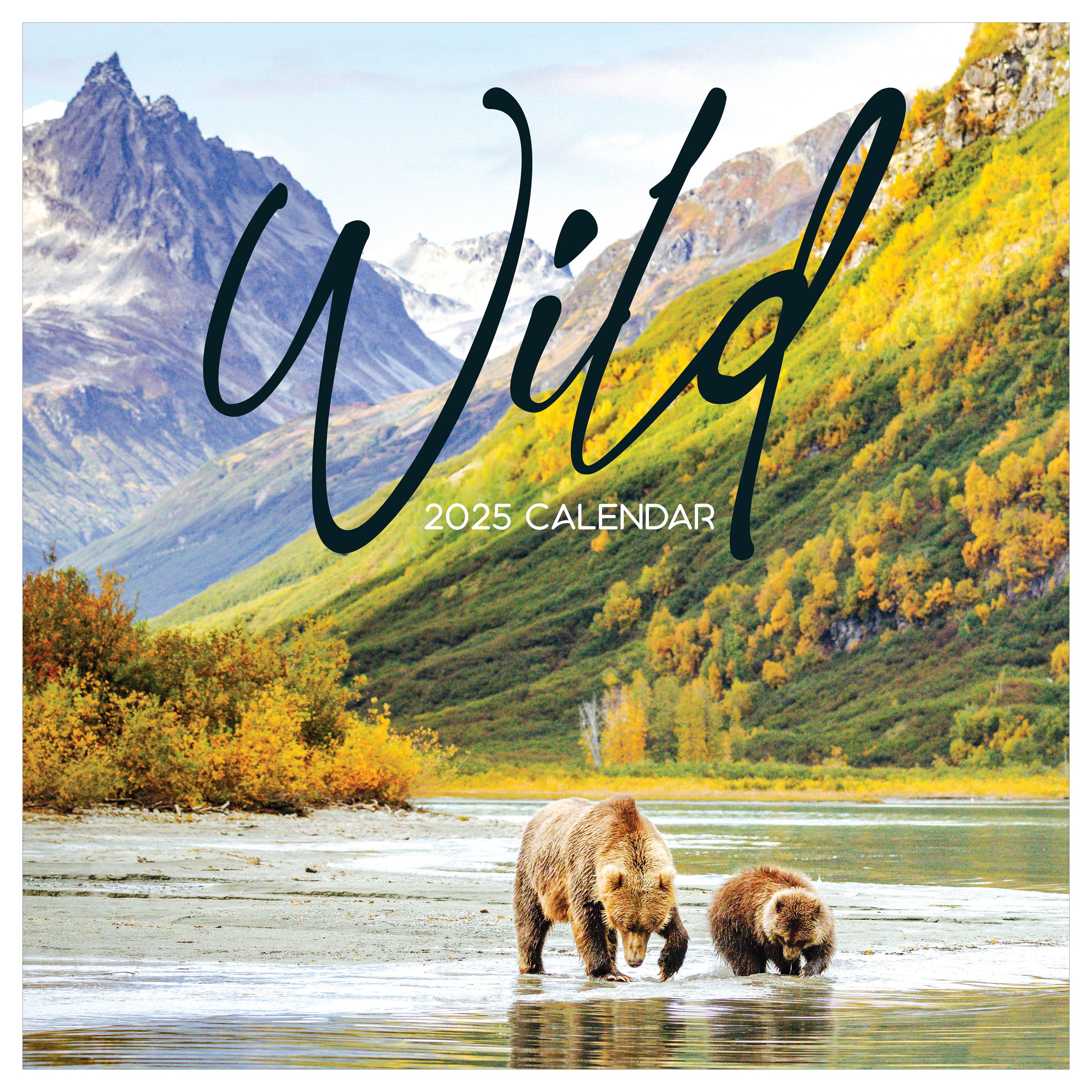 2025 Wild Wall Calendar SELWII