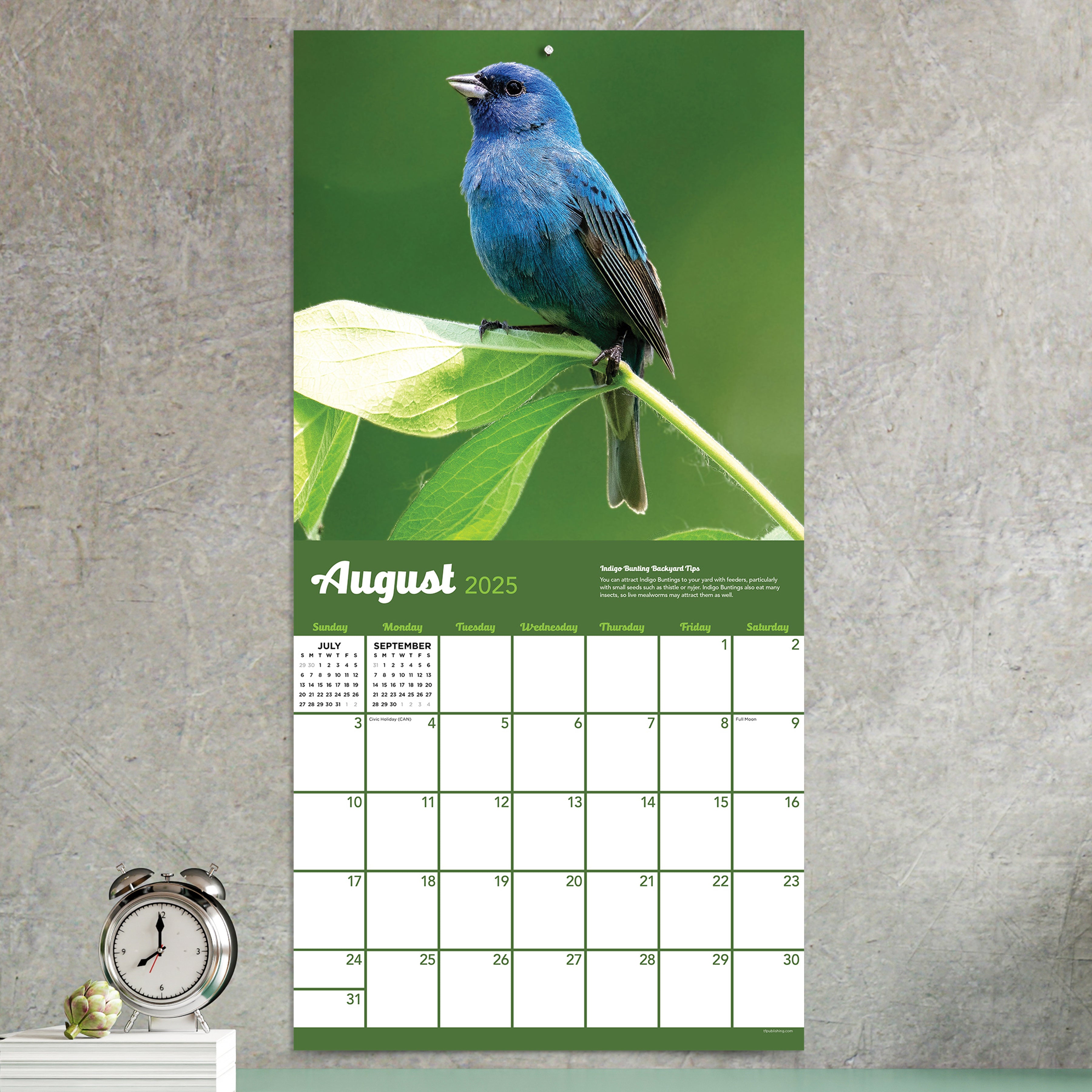 2025 Backyard Birds Wall Calendar on SELWII