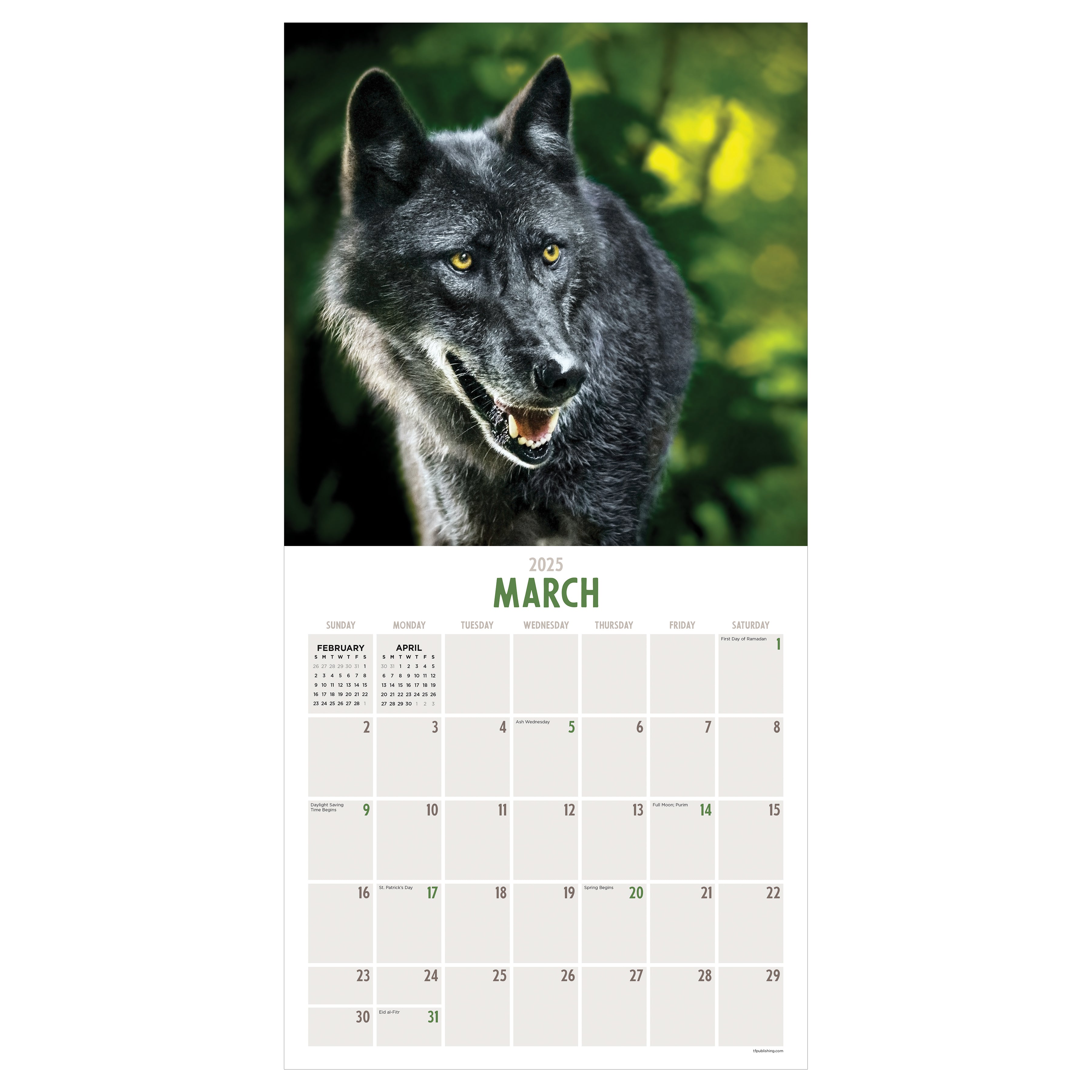 2025 Wolves Wall Calendar SELWII