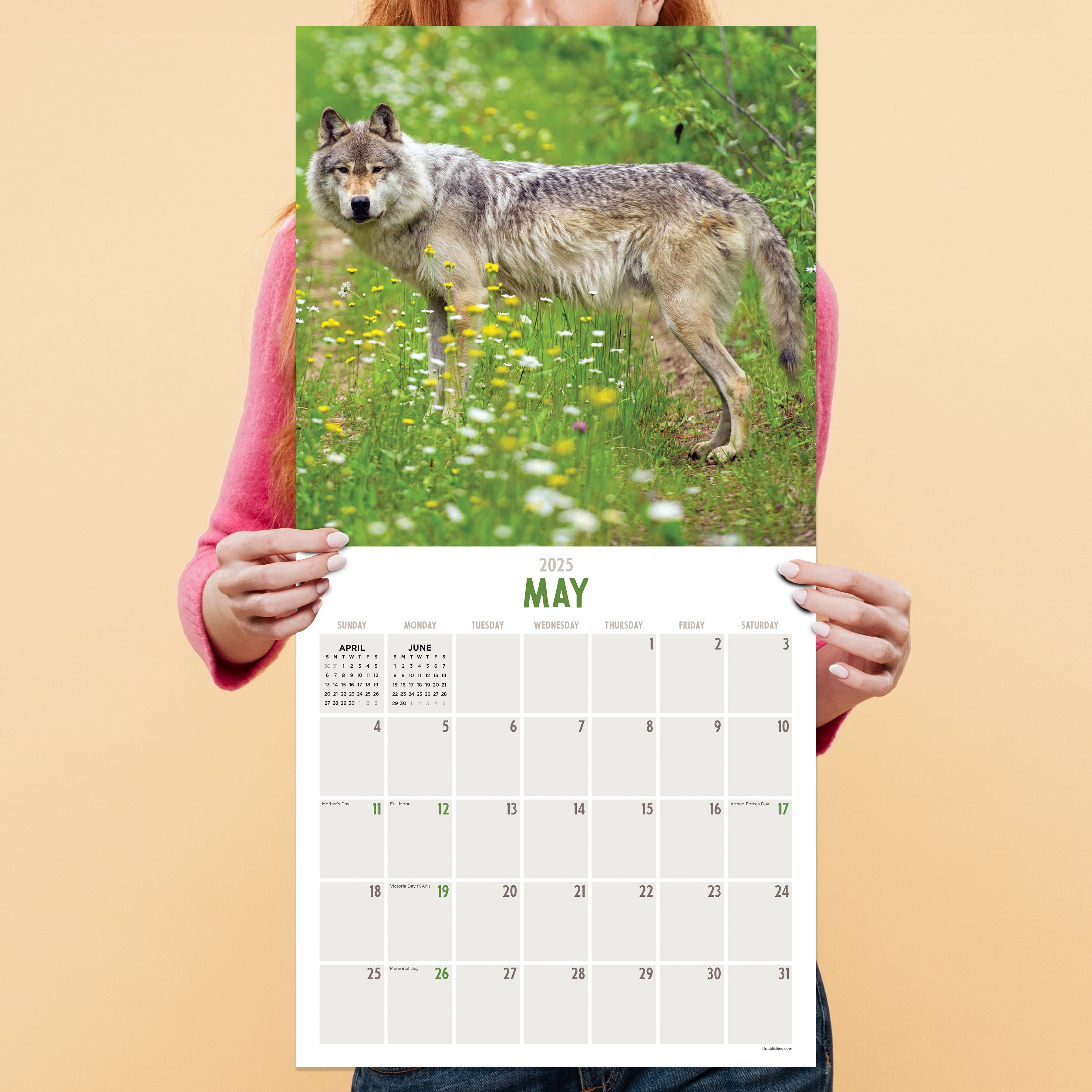 2025 Wolves Wall Calendar SELWII