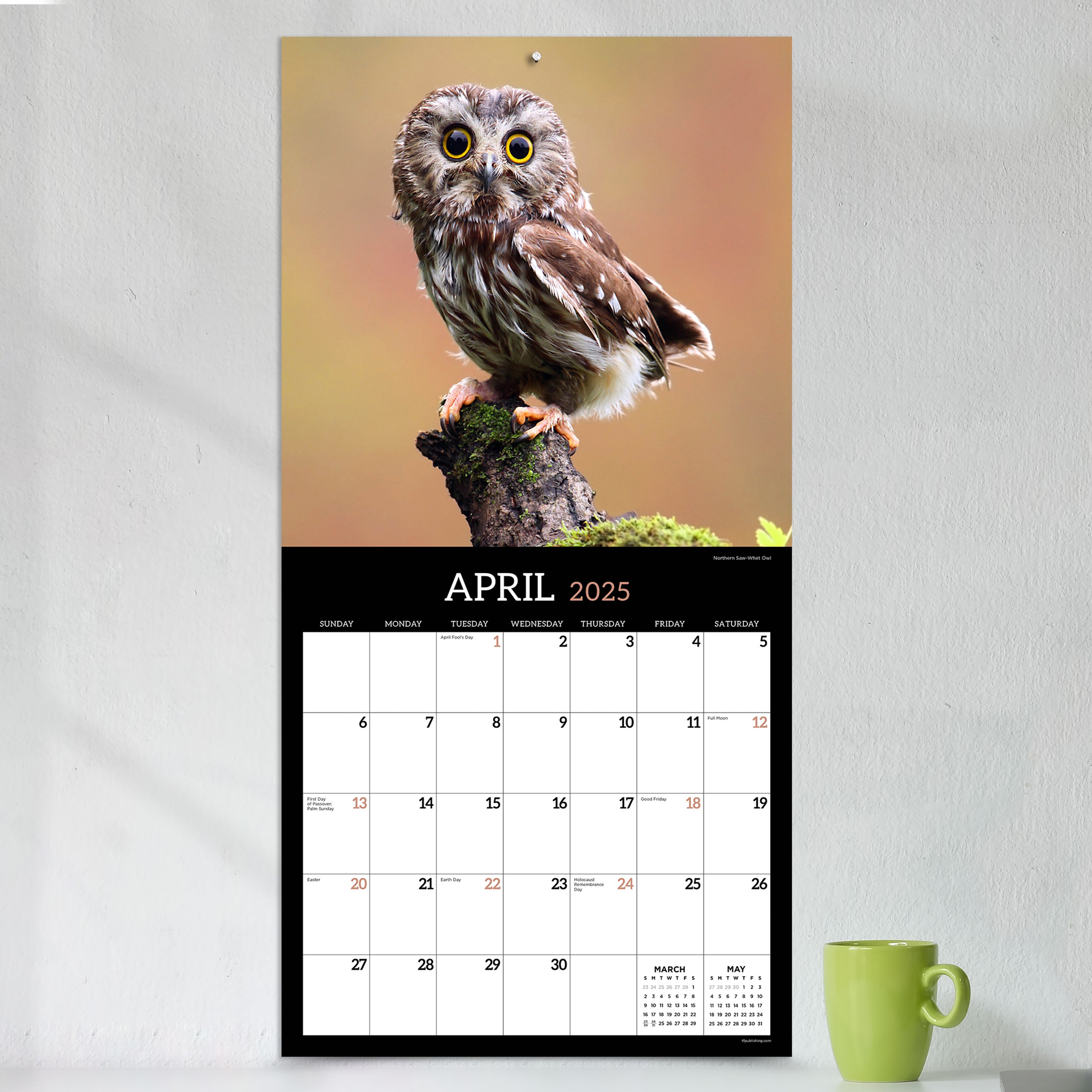 2025 Owls Wall Calendar SELWII