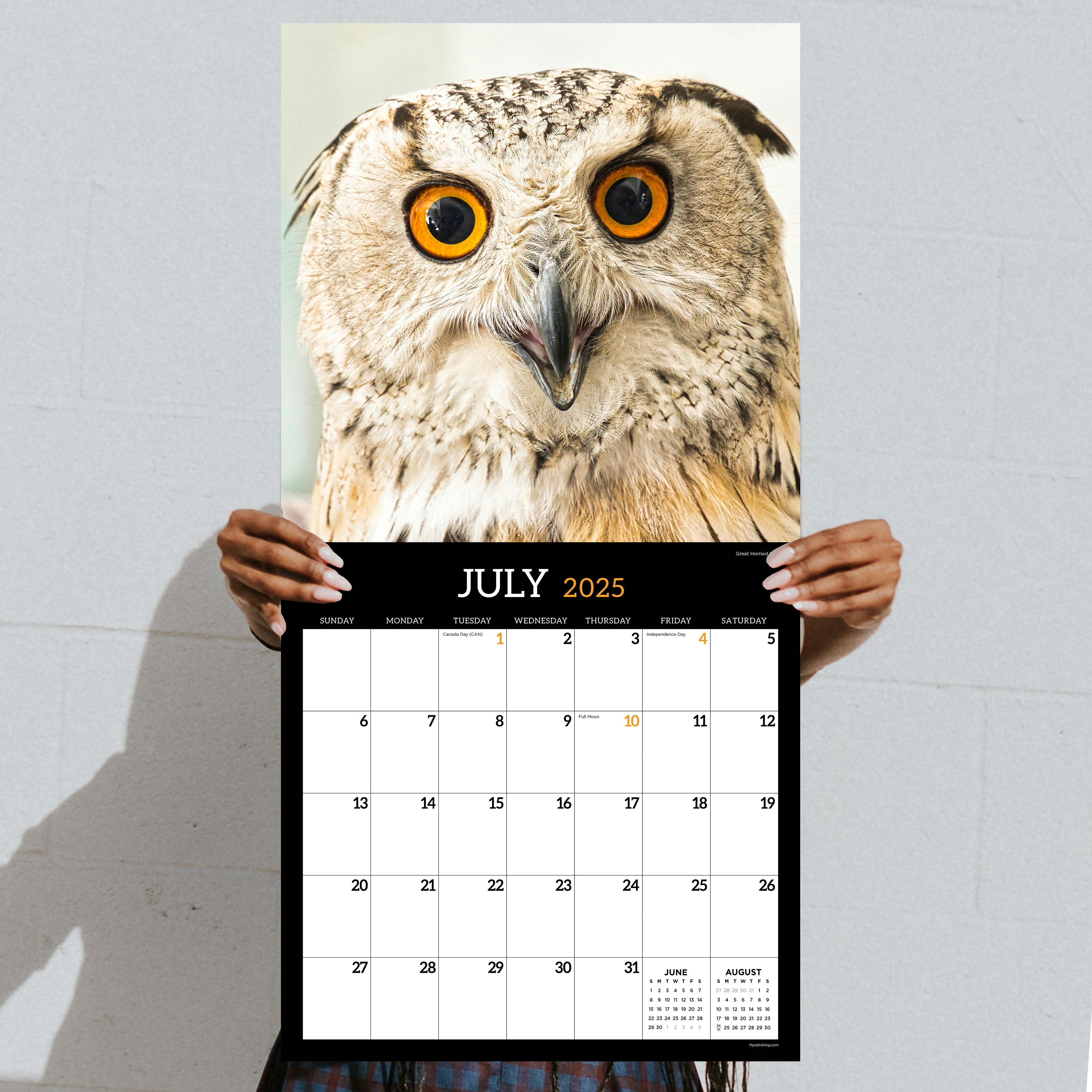 2025 Owls Wall Calendar SELWII