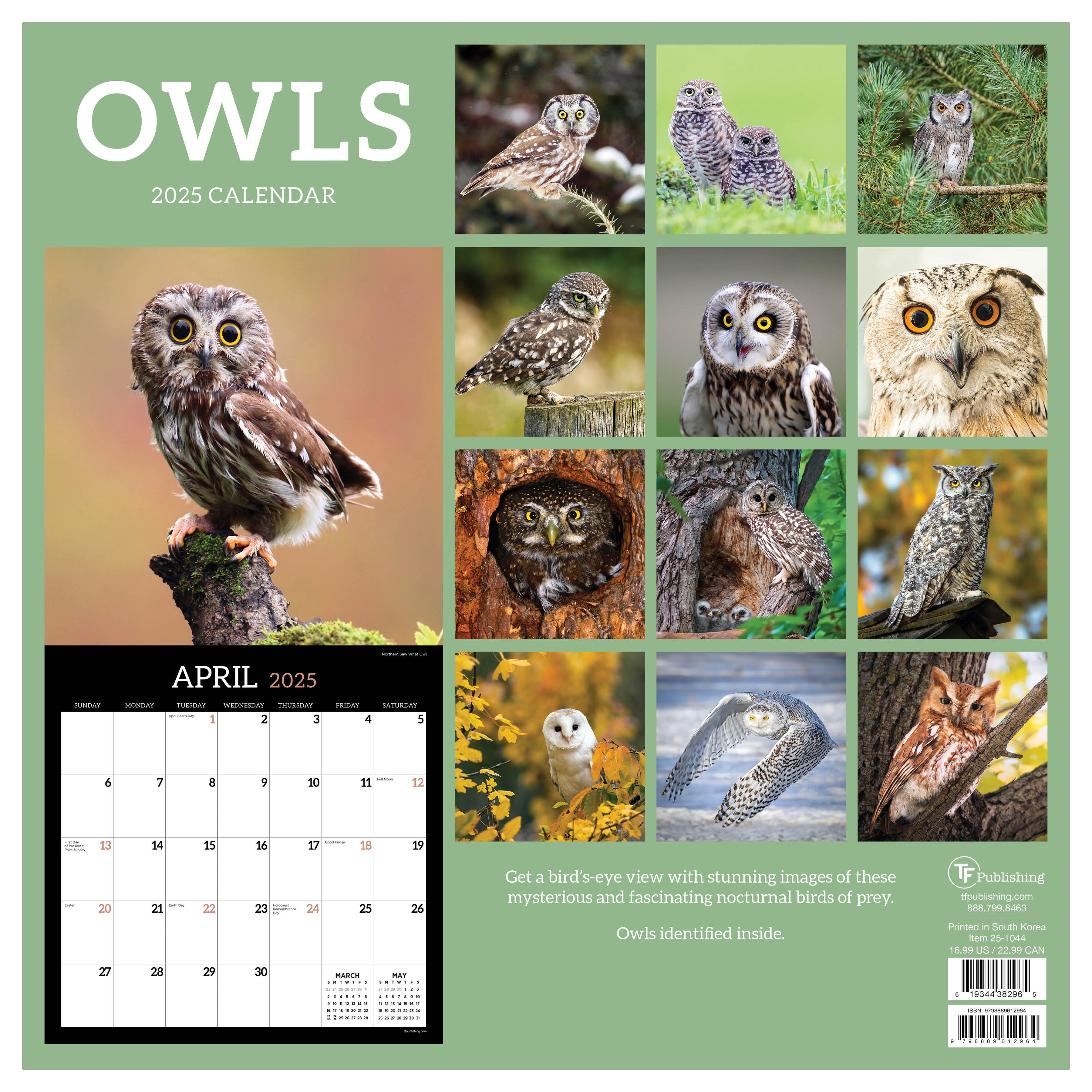 2025 Owls Wall Calendar SELWII