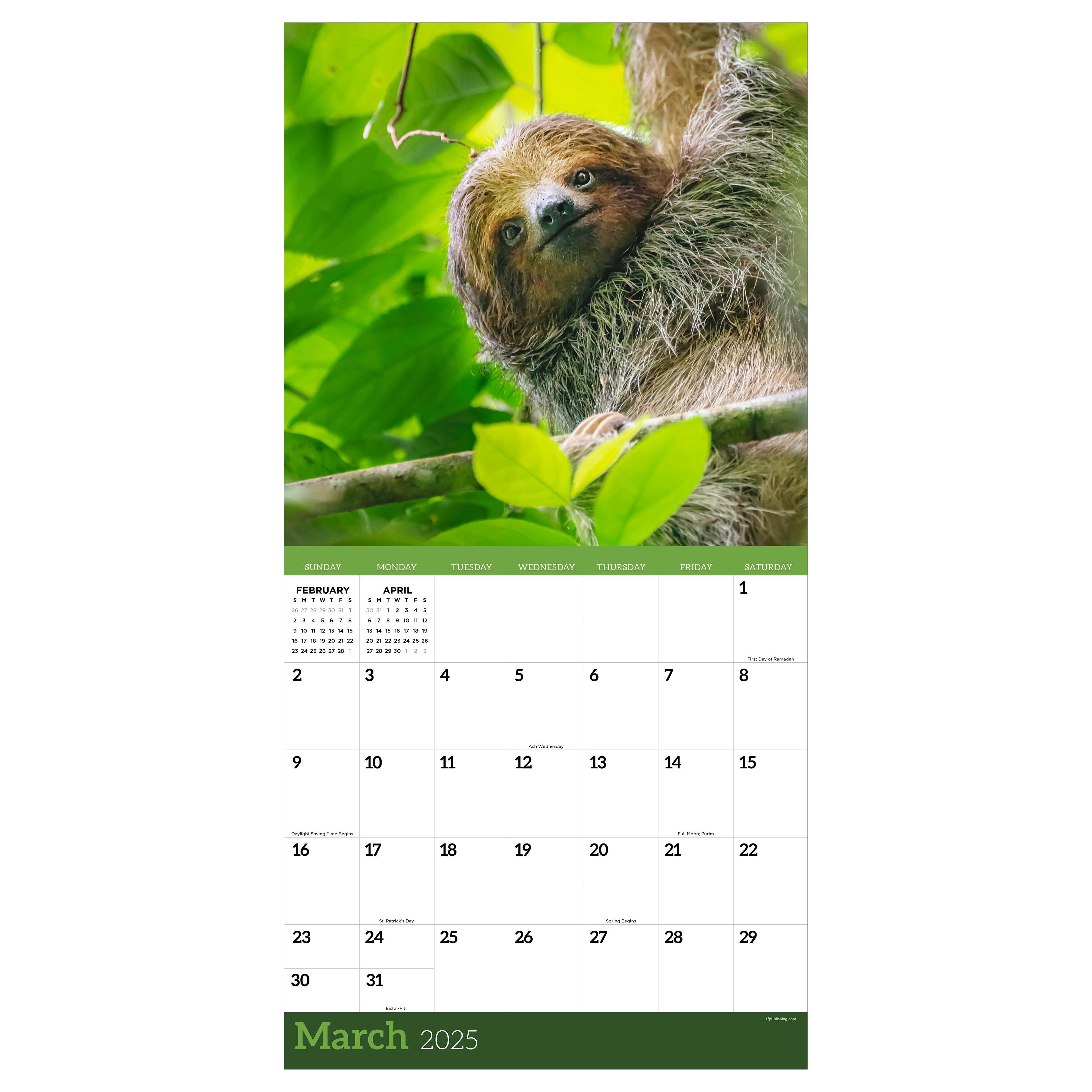 2025 Sloths Wall Calendar SELWII