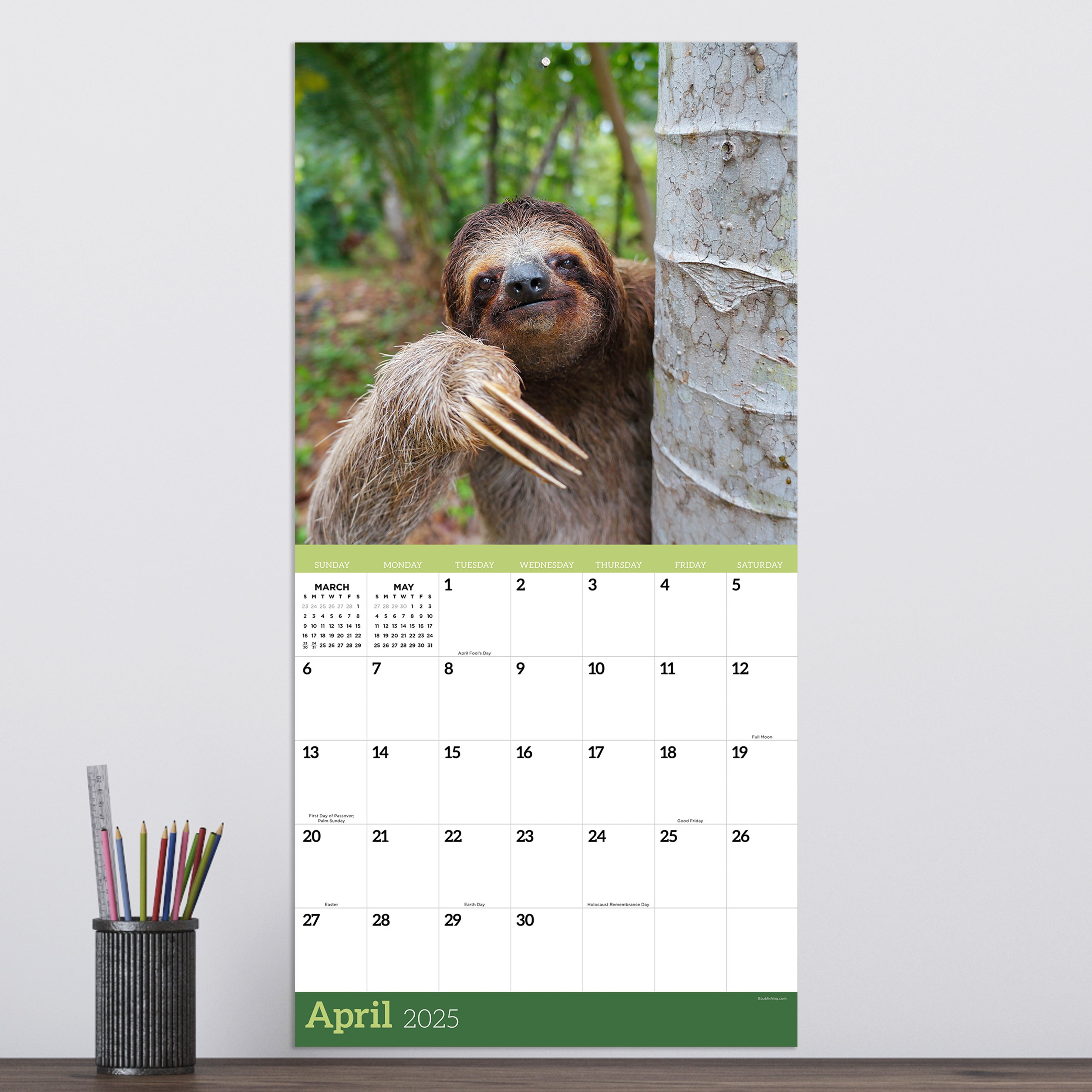 2025 Sloths Wall Calendar SELWII