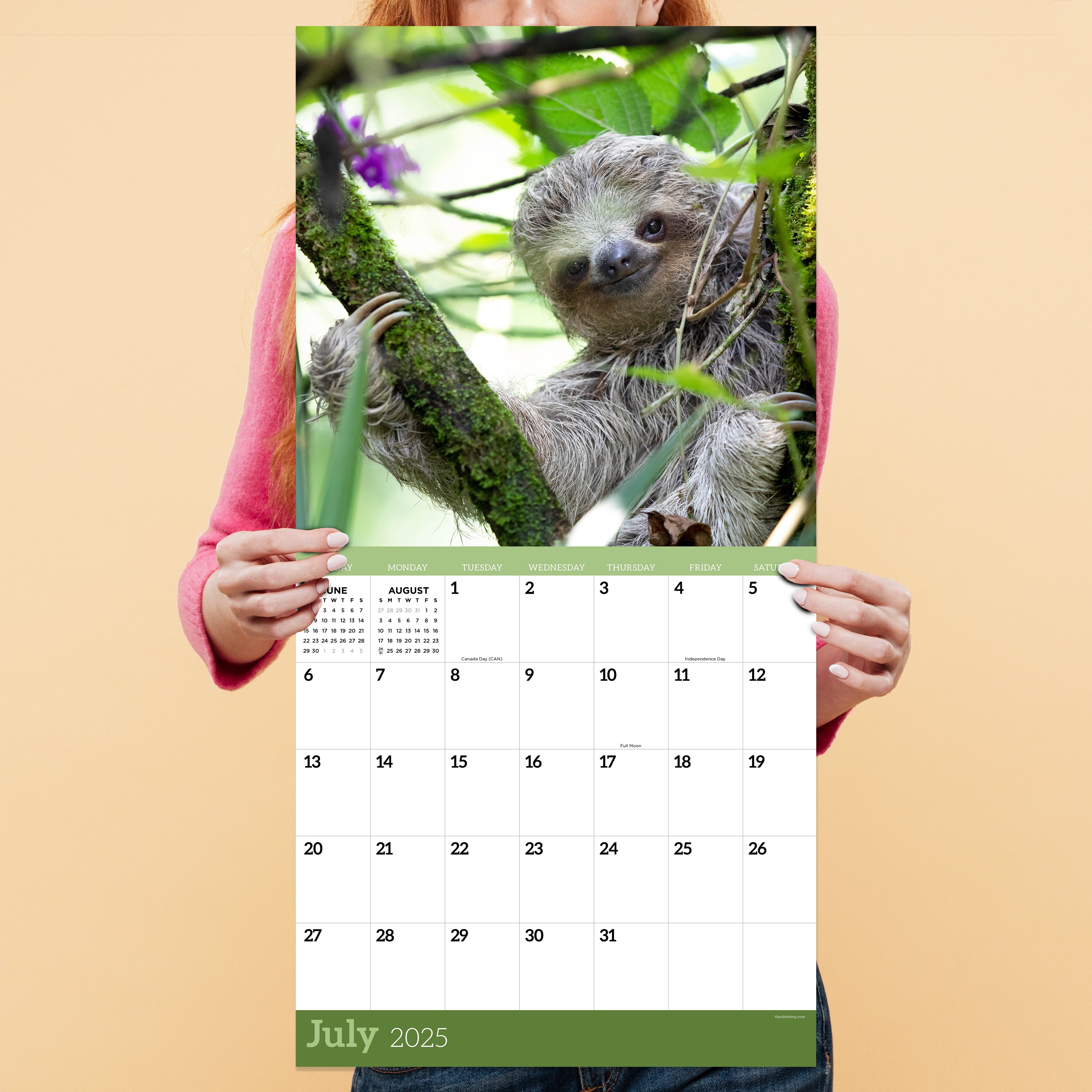 2025 Sloths Wall Calendar SELWII