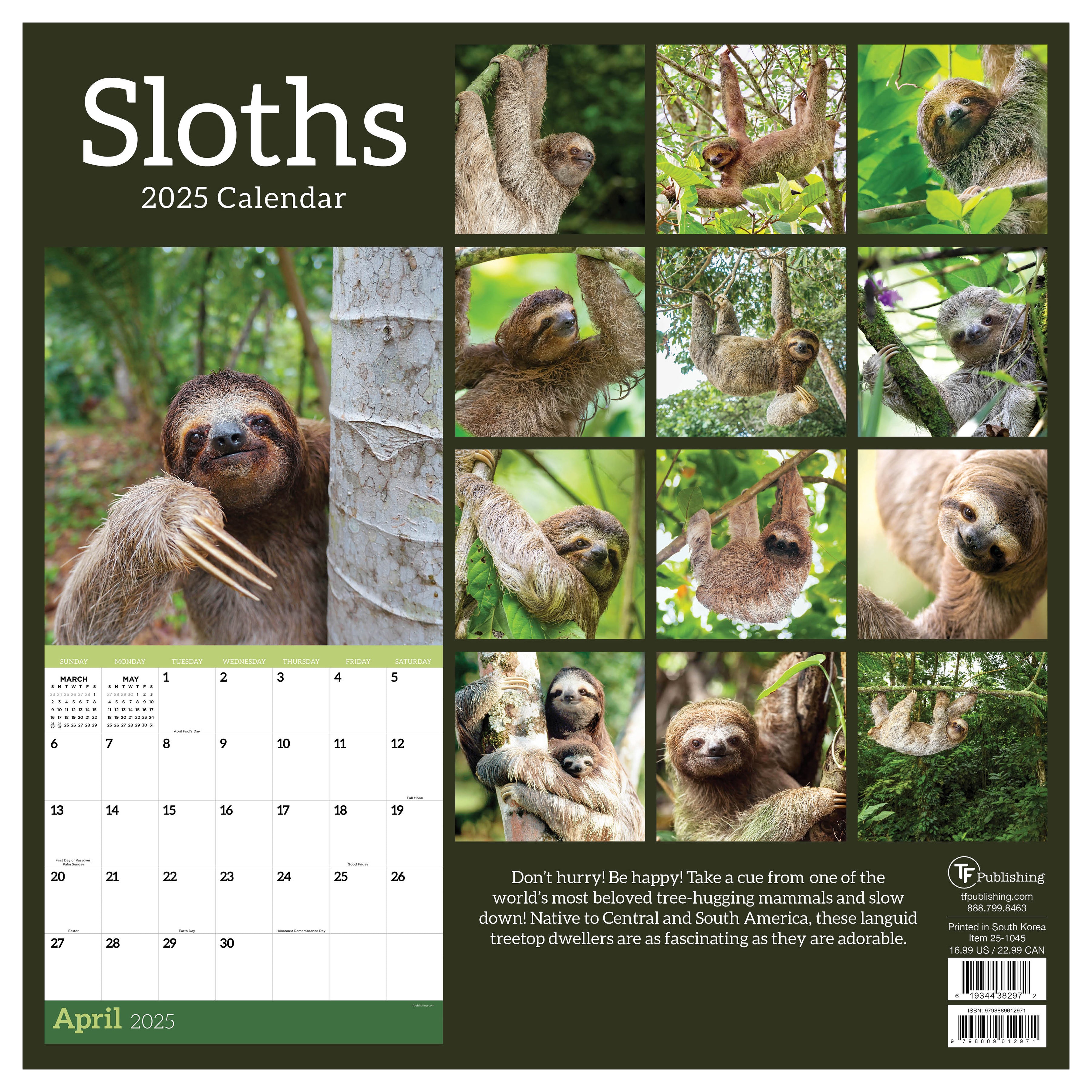 2025 Sloths Wall Calendar SELWII