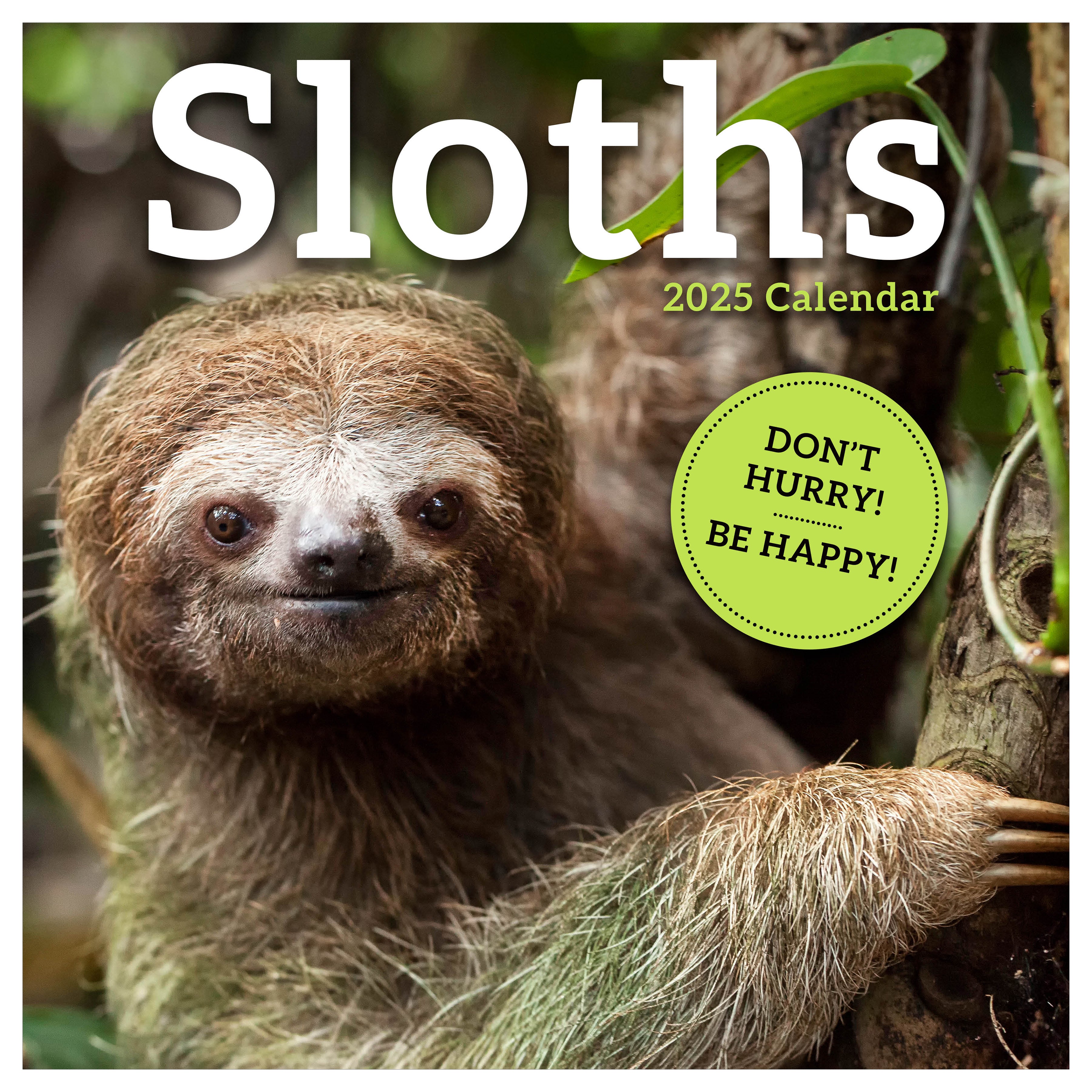 2025 Sloths Wall Calendar SELWII