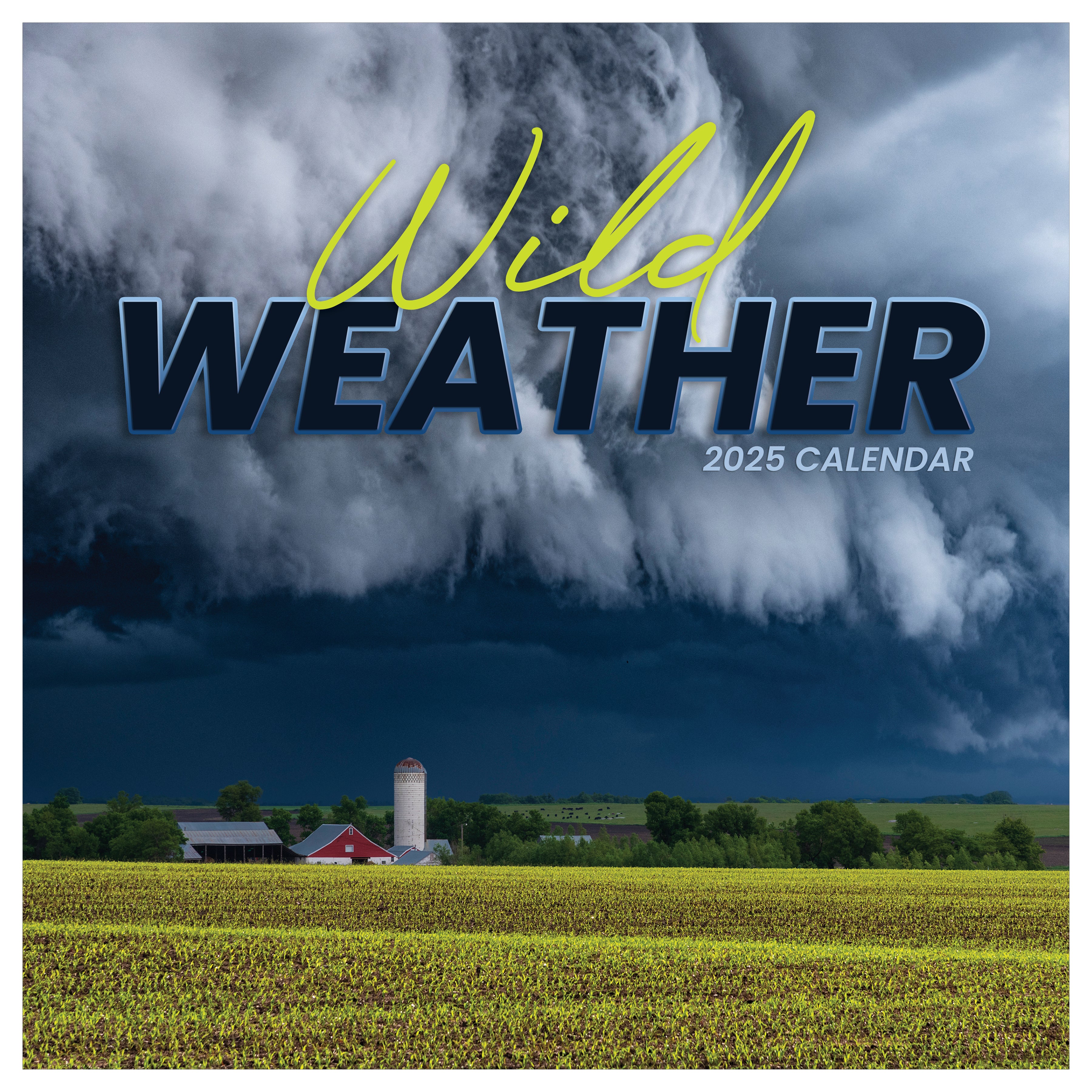 Wild Weather Wall Calendar 2025