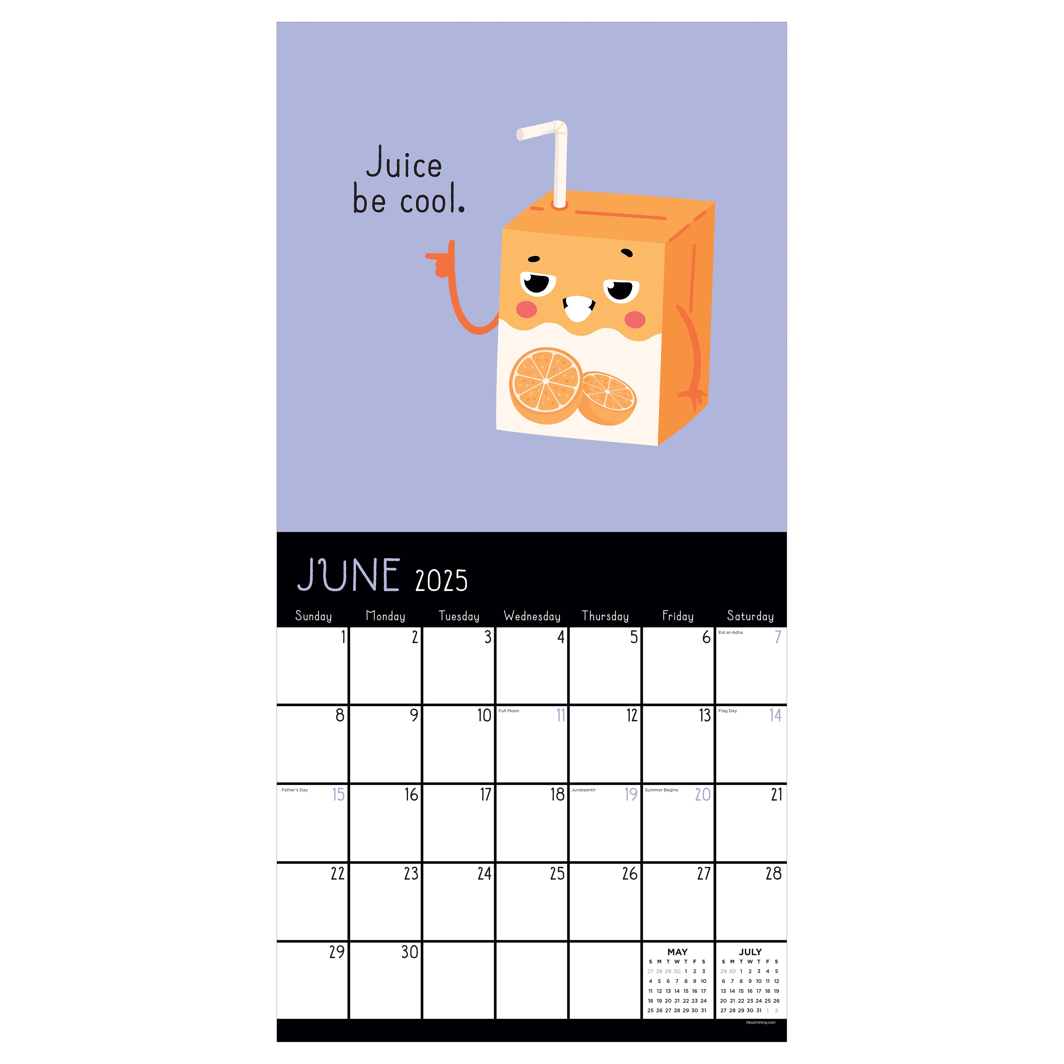 2025 Puns of Fun Wall Calendar SELWII